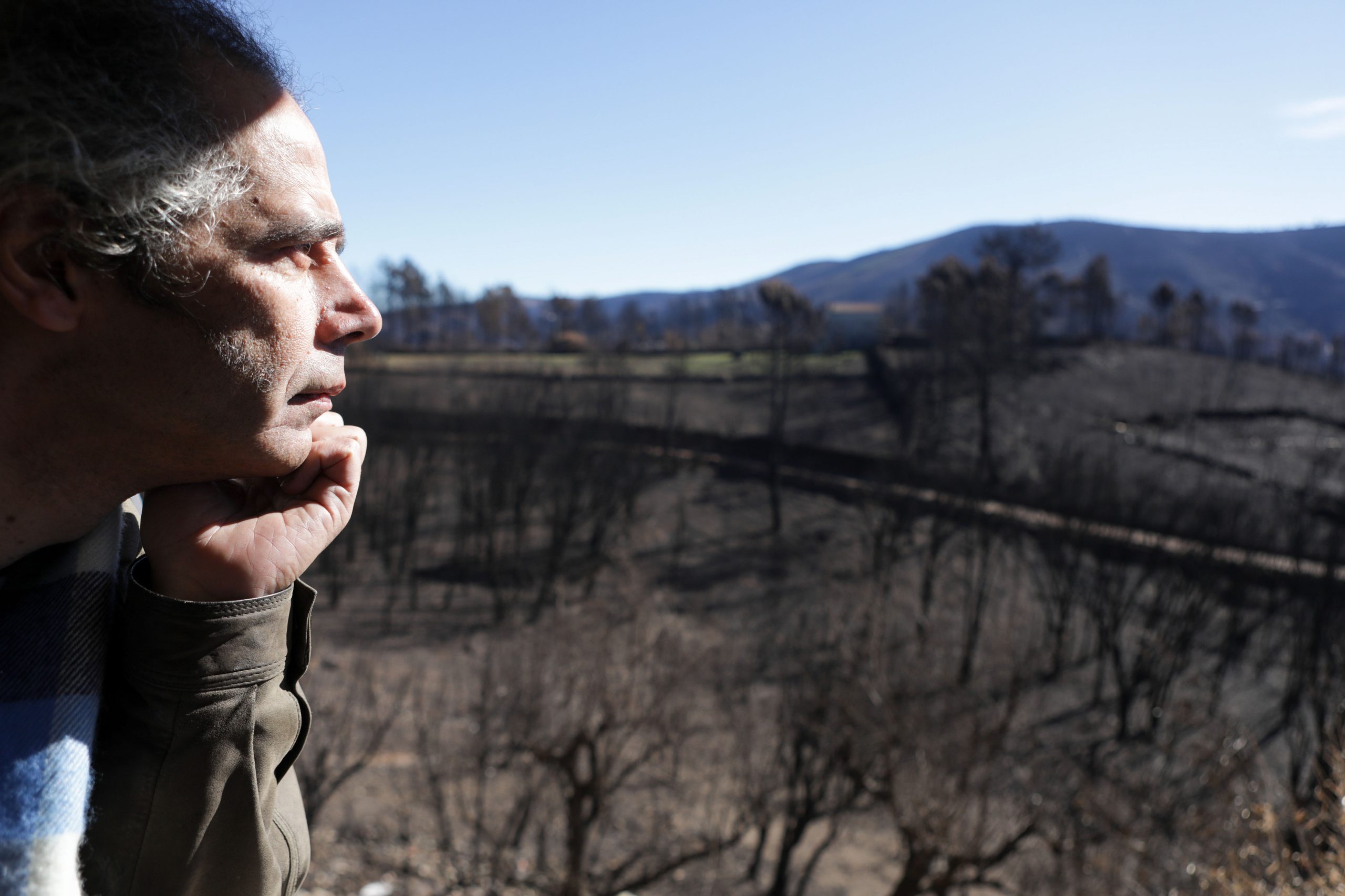 Incêndios: Tragédia tem de ser relacionada com “fragilização e deslaçamento” do país, defendem investigadores