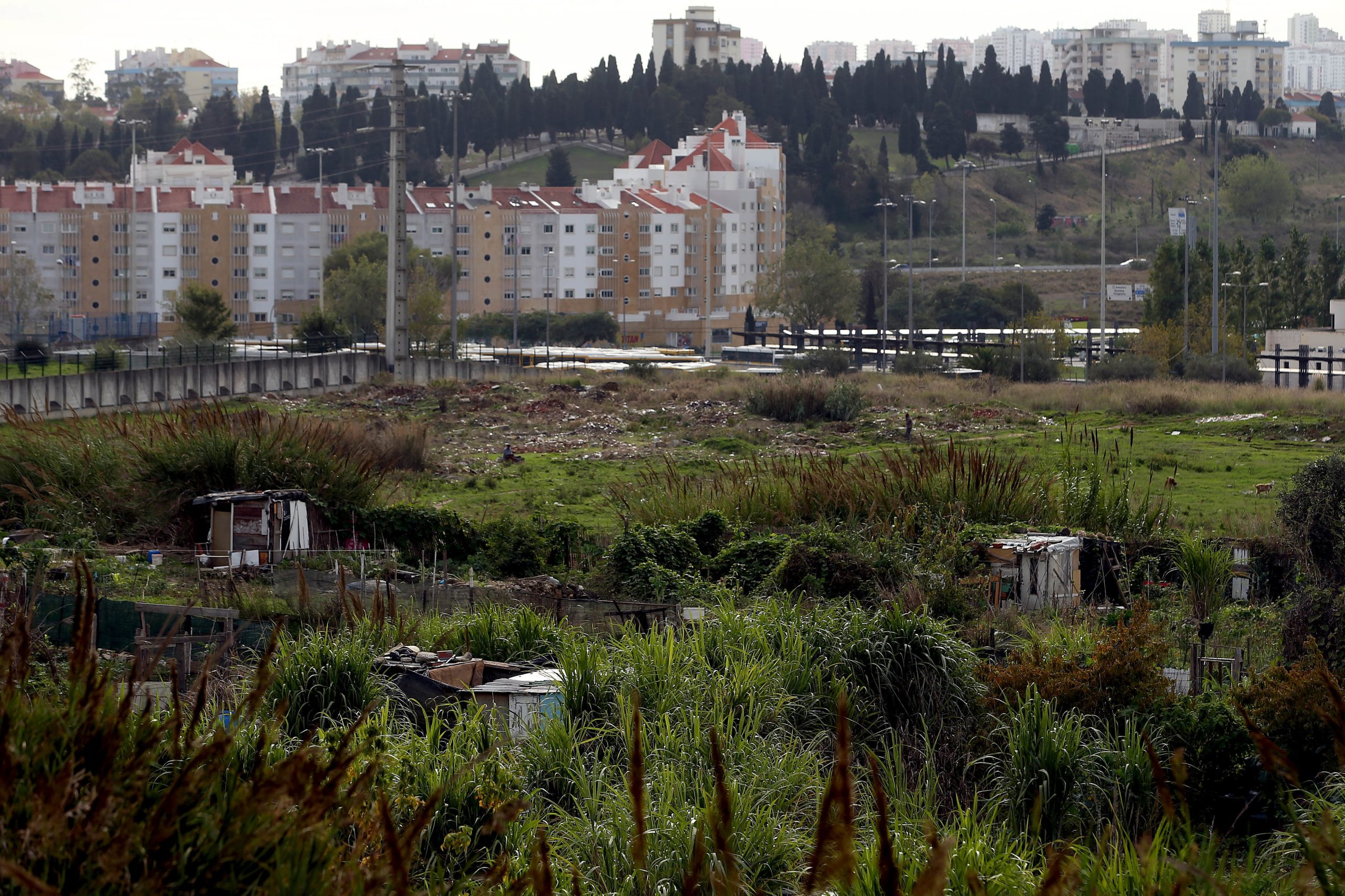 Presidente de Carnide alerta para abandono de terrenos onde Câmara de Lisboa já não quer feira popular