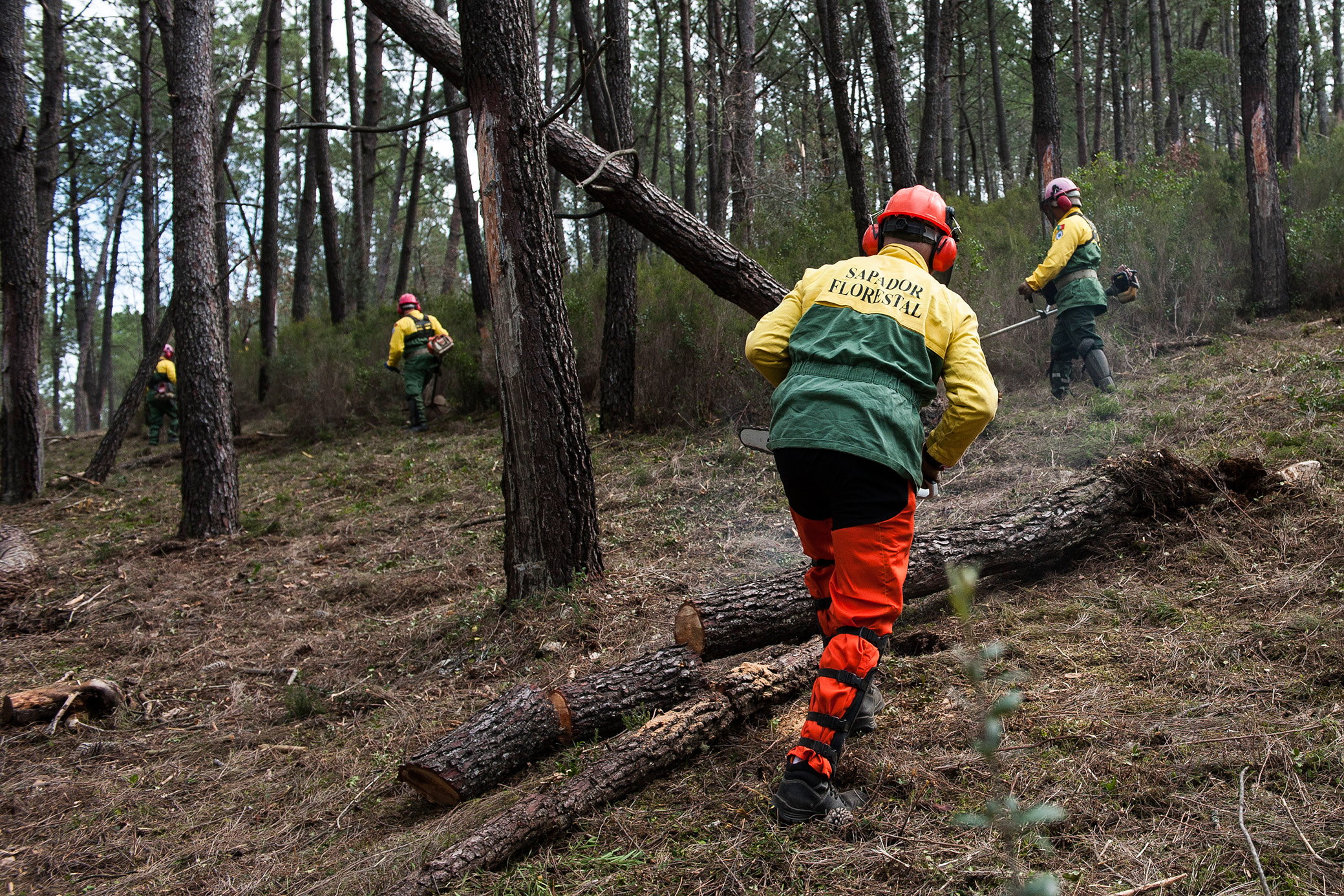 Trabalho “invisível e imprescindível.” Governo vai renovar equipamentos dos sapadores florestais