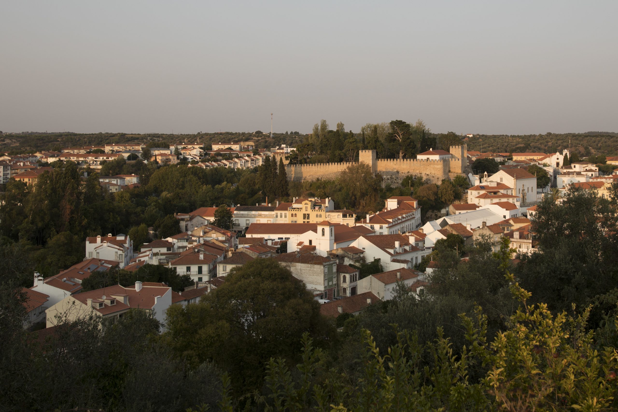 Câmara de Torres Novas anuncia Rede de Transportes Urbanos Torrejanos gratuita a partir de janeiro