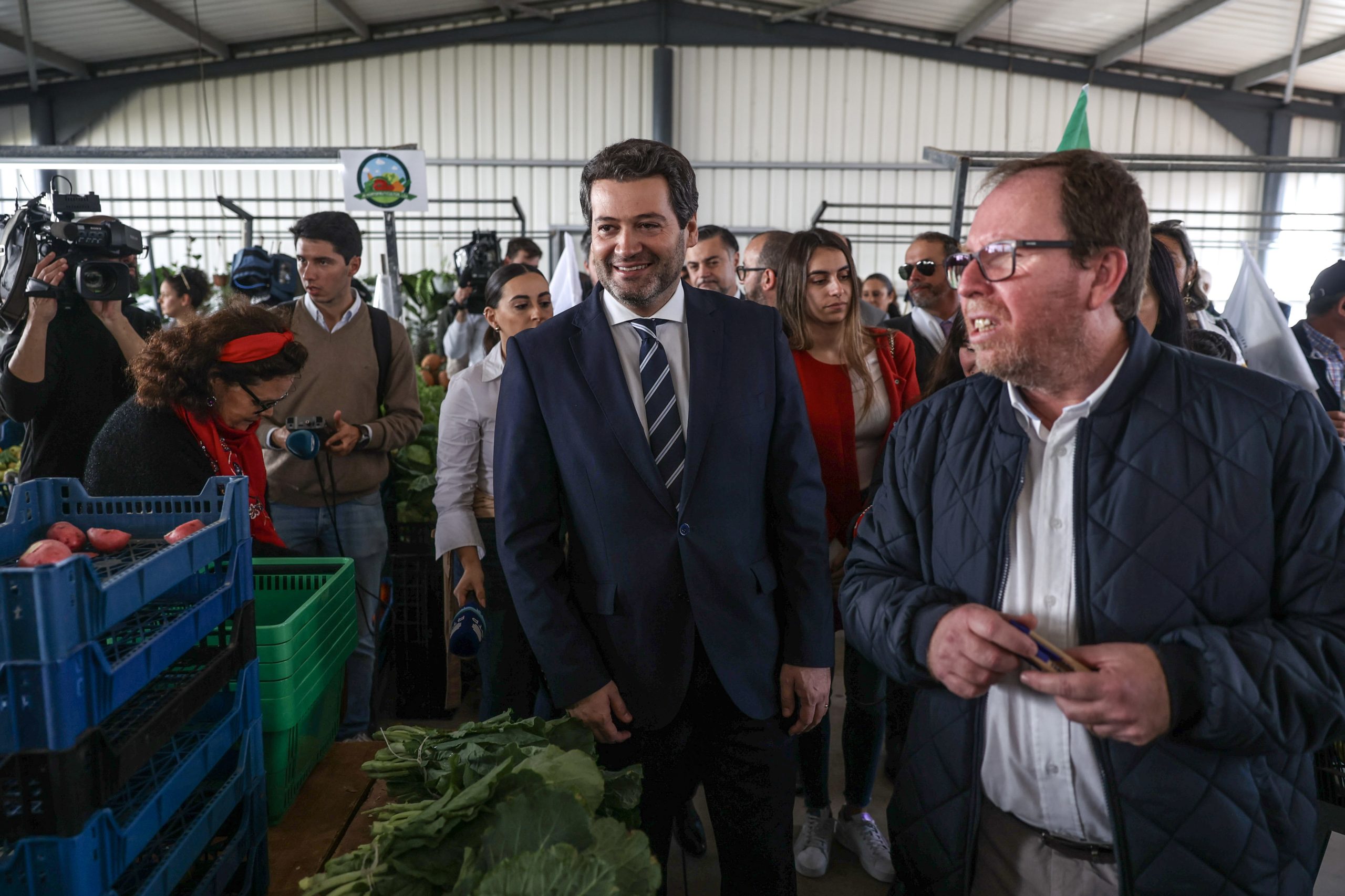Chega apela a compromisso pré-eleitoral sobre apoios atempados ao setor