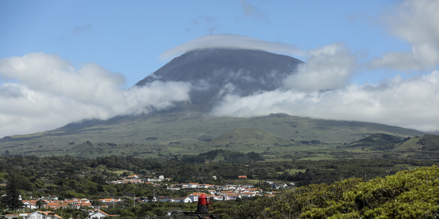 Nos Açores já se vindima para prevenir estragos provocados pelas mudanças no clima