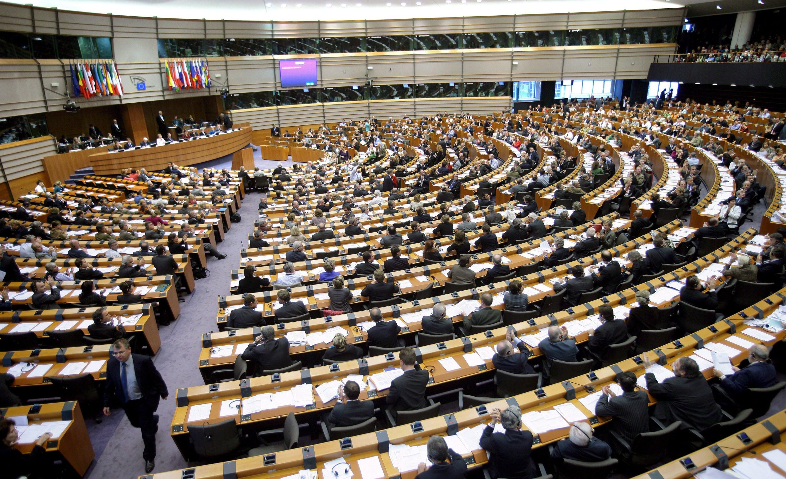 Eurodeputados defendem uma gestão sustentável das florestas