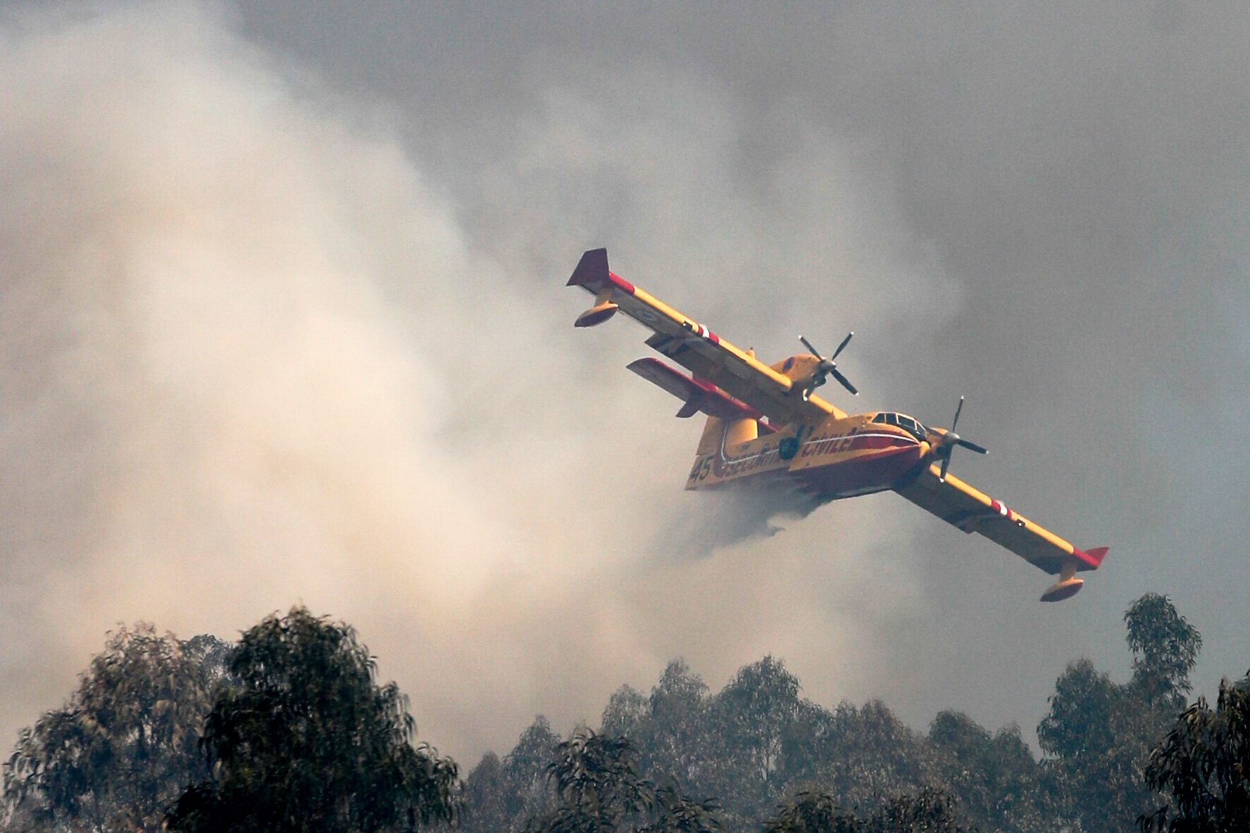 Homem detido em Pombal por suspeita de atear incêndio florestal