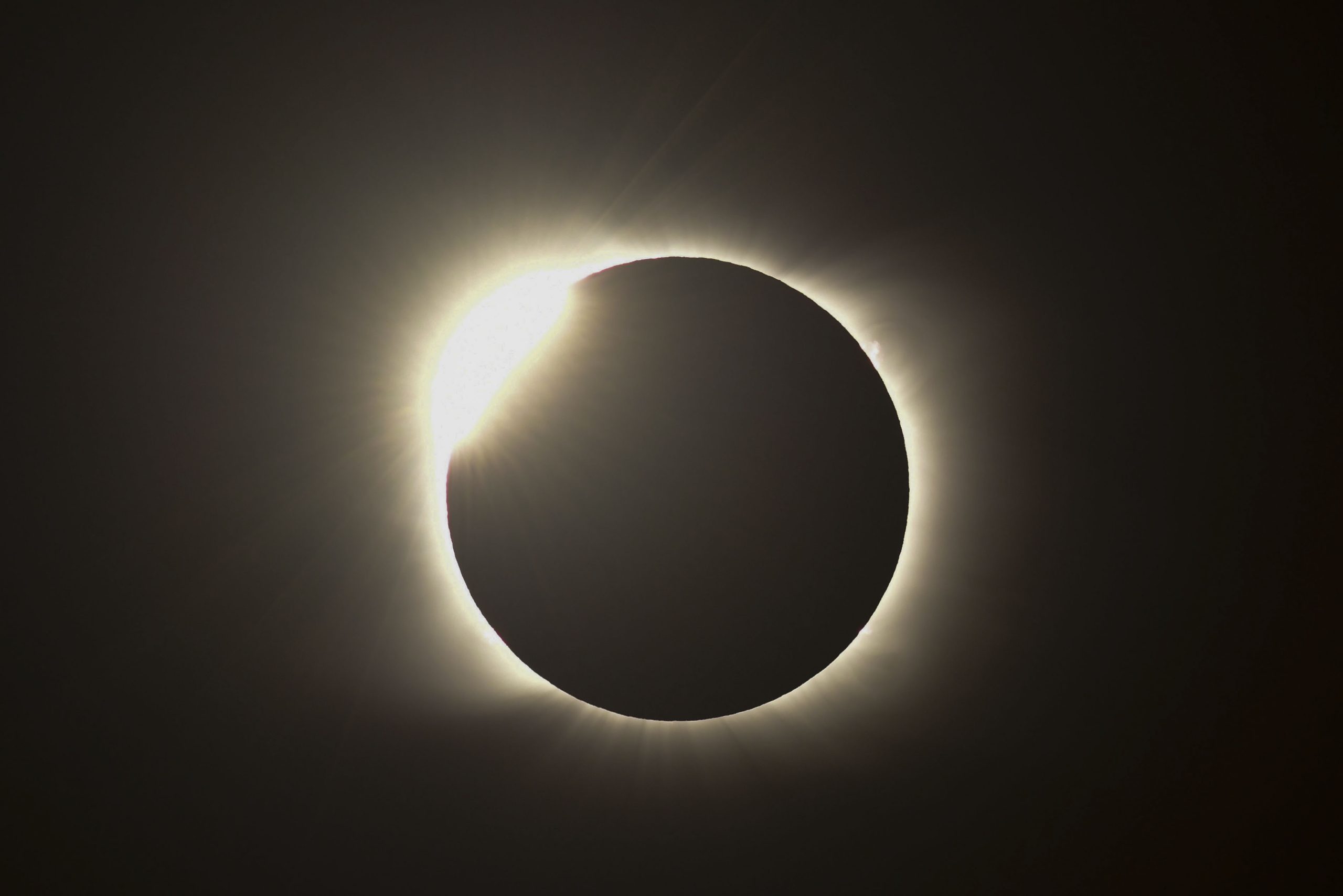 Durante dois minutos, o dia fez-se noite. Eclipse solar total escurece e emociona o sul do Chile e Argentina