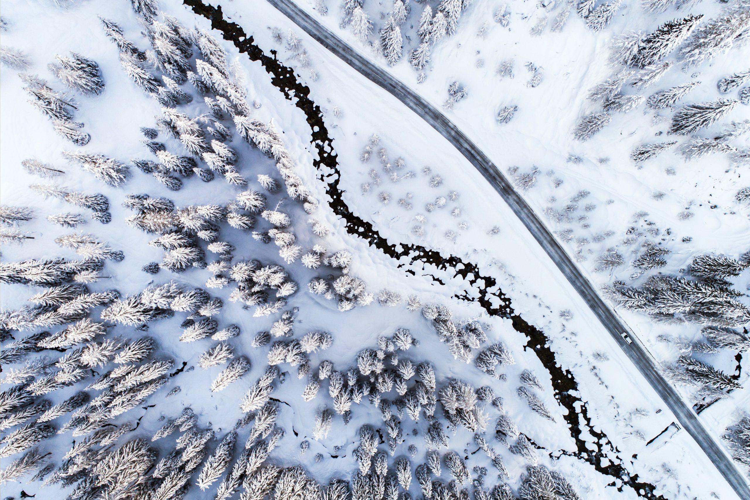 Será neve, será gente? Domingo é dia mundial da neve e até aqui foi assim que se apresentou em 2018