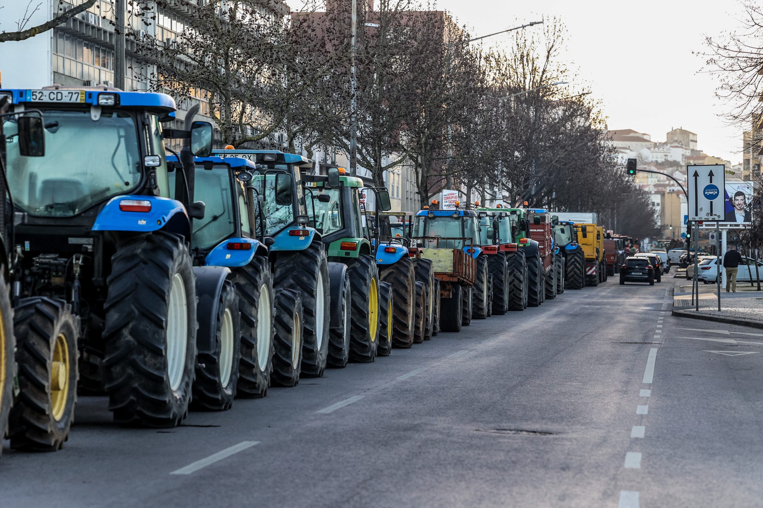 Agricultores. Quanto custa termos alimentos no prato e porque os protestos foram “um alerta sério”