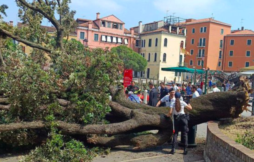Árvore cai em Veneza e causa vários feridos