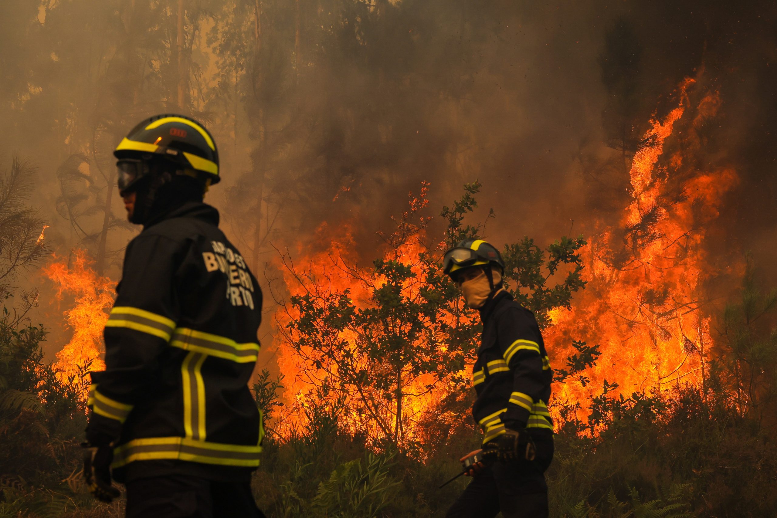 Calor e incêndios. Governo português decreta estado de alerta até quinta-feira