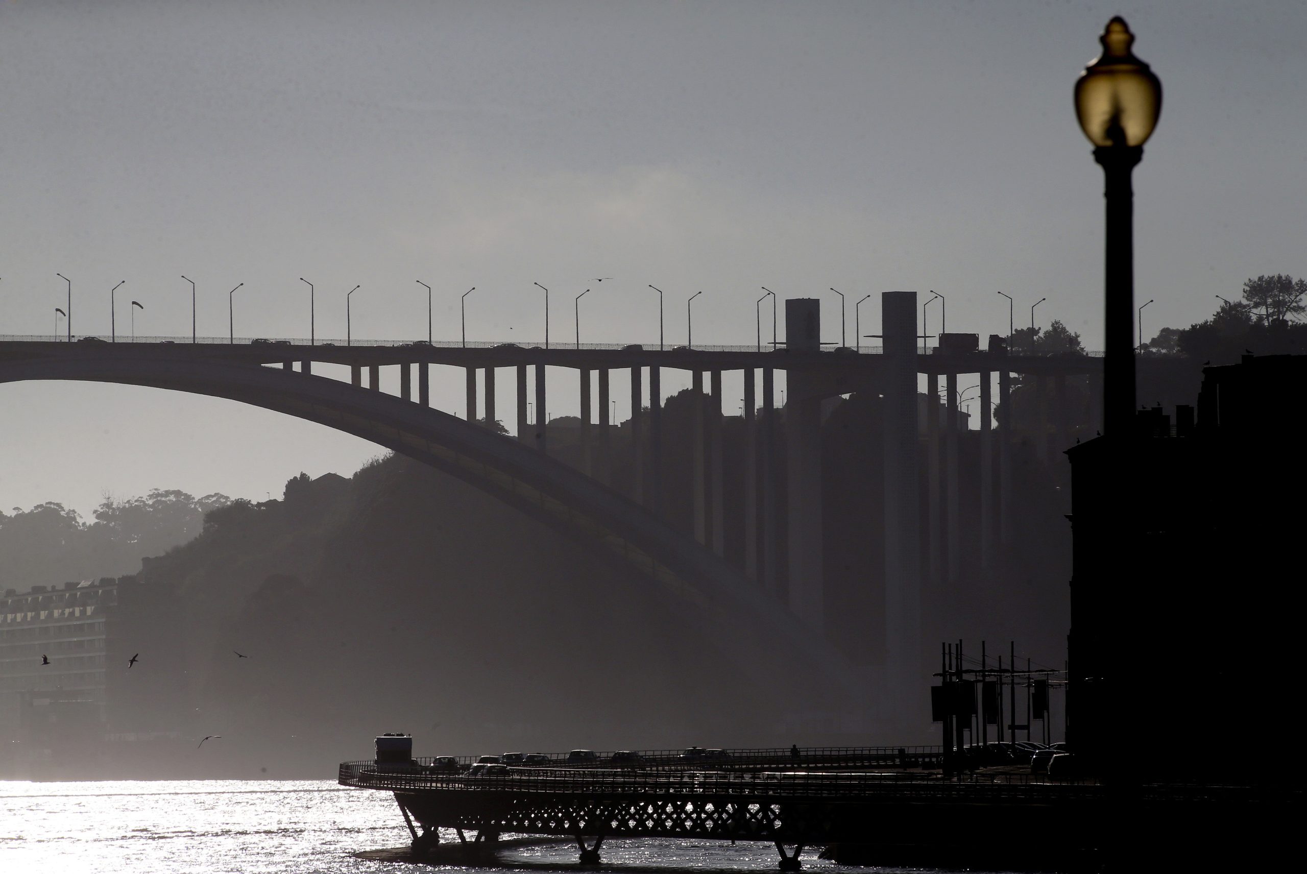 Reabilitação do tabuleiro e pilares da Ponte da Arrábida custará até 5,5 milhões