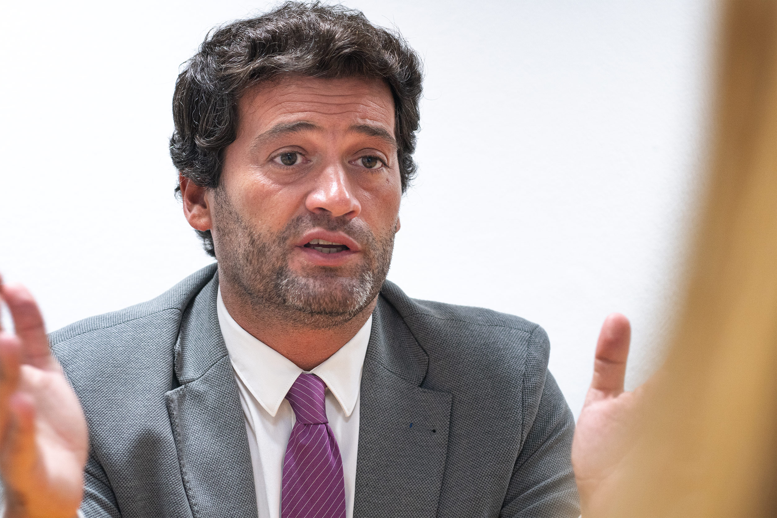 André Ventura: “Vai parecer cobardia, e será cobardia, Ana Gomes não se candidatar [à Presidência]”