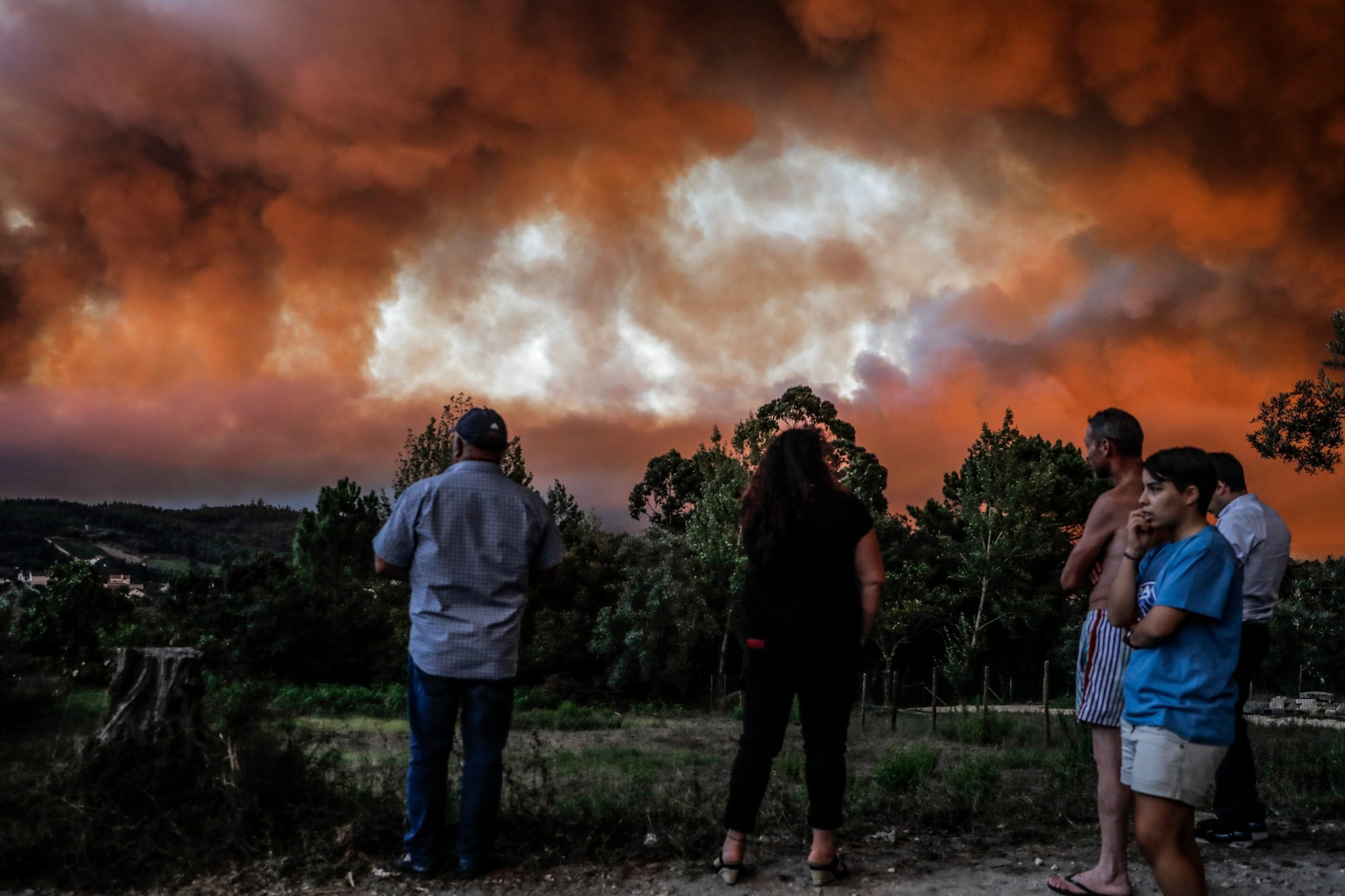 Ourém: Combate ao fogo arrastou-se pela madrugada com mais de 700 bombeiros, apoiados por 223 viaturas