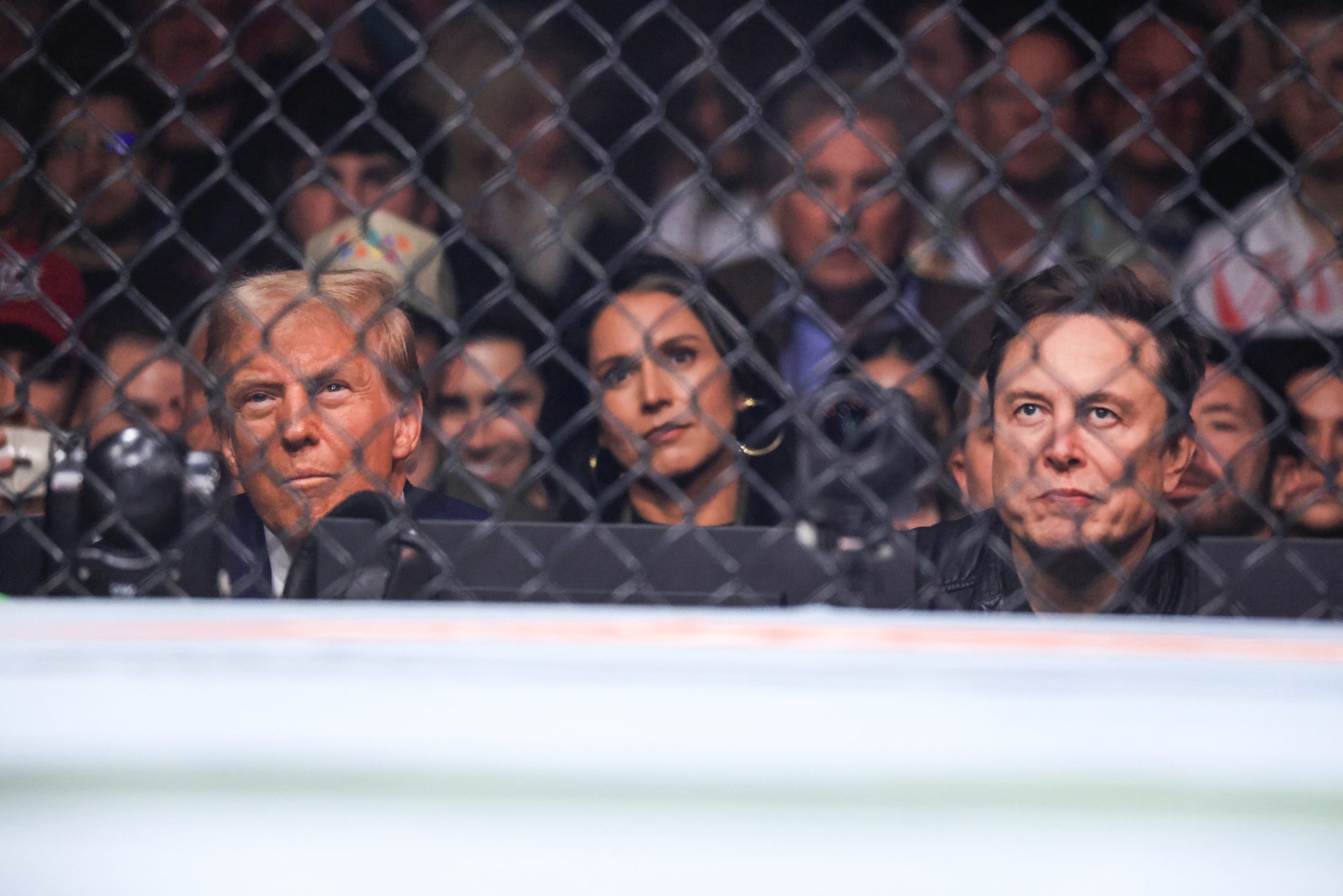 Musk não pode tomar decisões sem “a nossa aprovação”, diz Trump