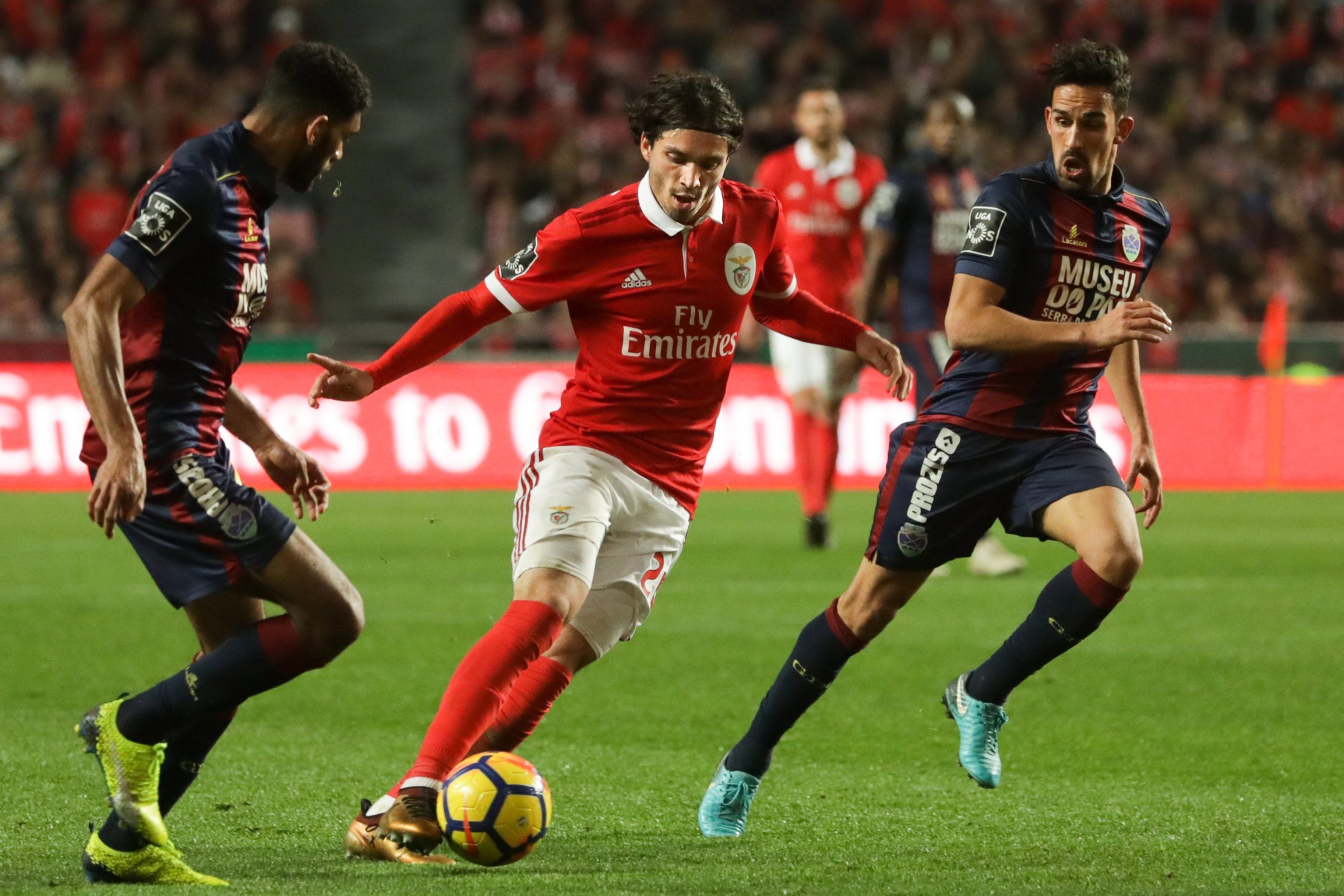 Rui Vitória sobre Benfica sem Krovinovic: “Arranjo duas, três e quatro soluções”