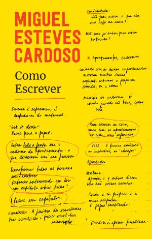 Miguel Esteves Cardoso: “Toda a gente pode escrever, toda gente deve escrever”