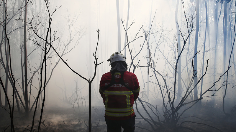Videovigilância contra fogos alargada a quase toda a Área Metropolitana do Porto