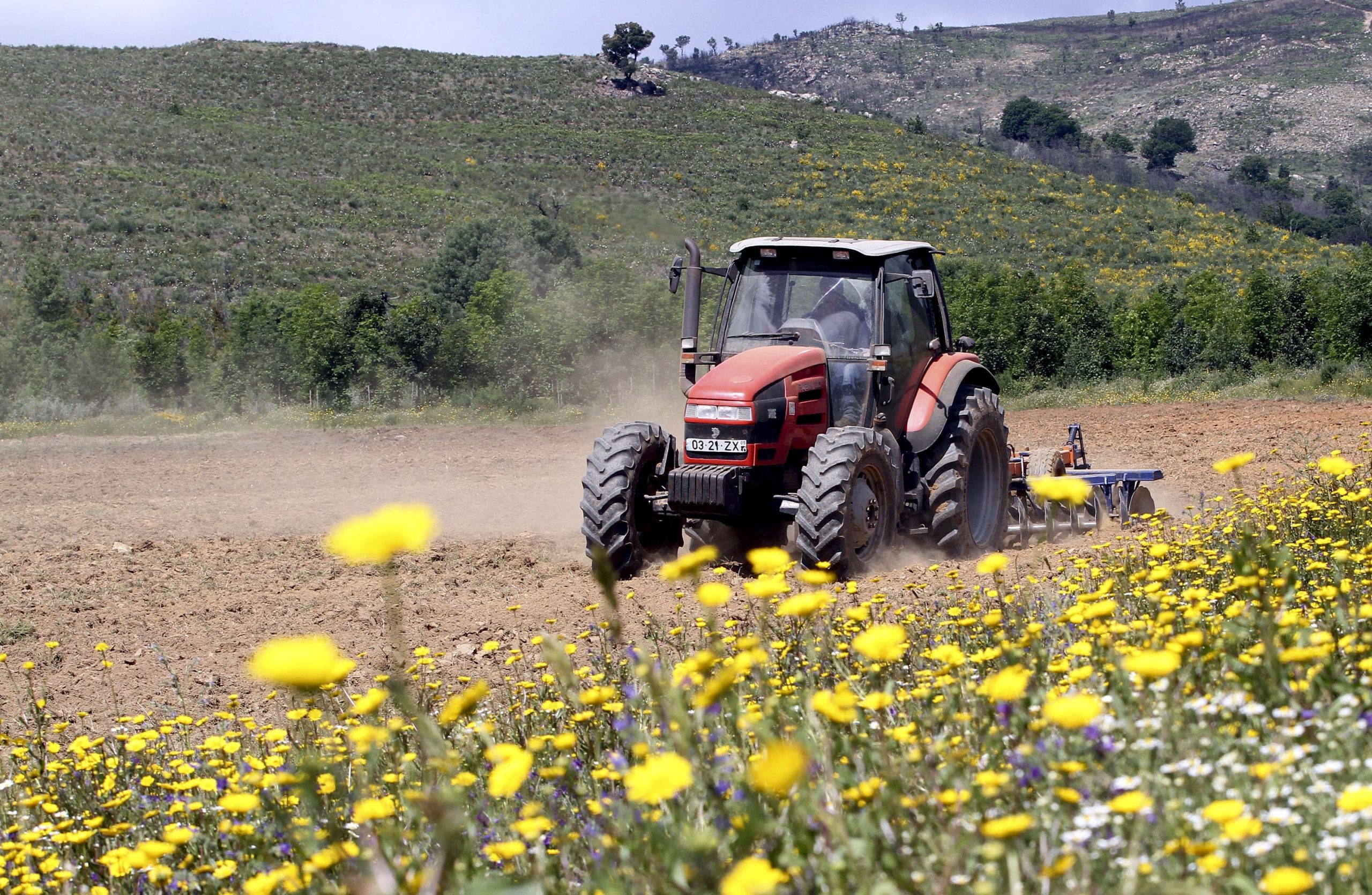 Agricultura e energia com maior peso no ambiente do que na economia