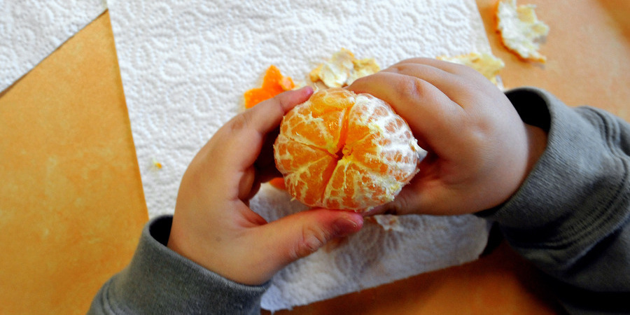 Bruxelas dá 5,5 milhões de euros a Portugal para distribuir fruta e leite nas escolas em 2019-2020