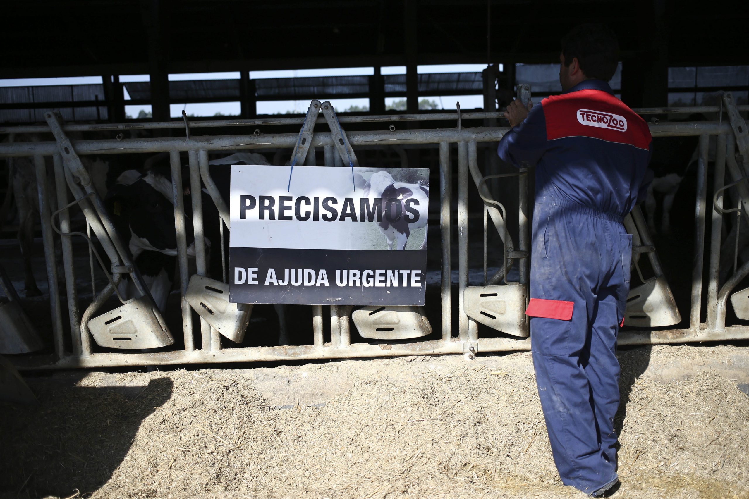 Produtores de leite manifestam-se contra “preços insustentáveis” pagos ao setor