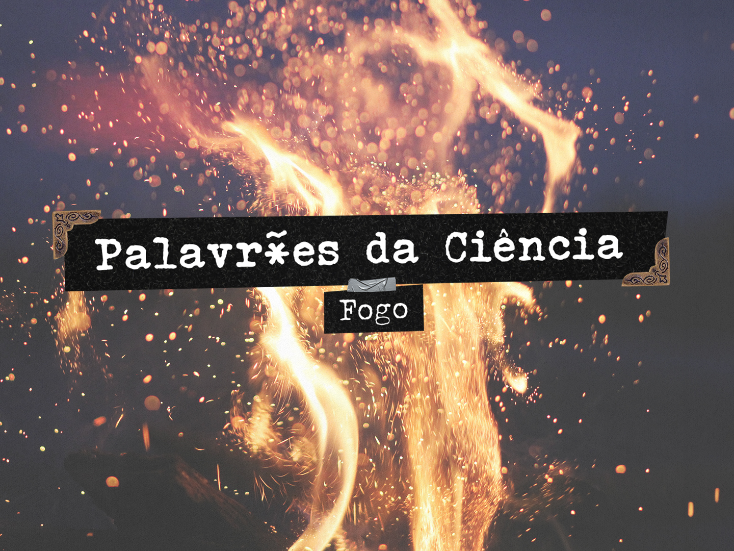 Incêndios: “Nem tudo o que é fogo é mau”