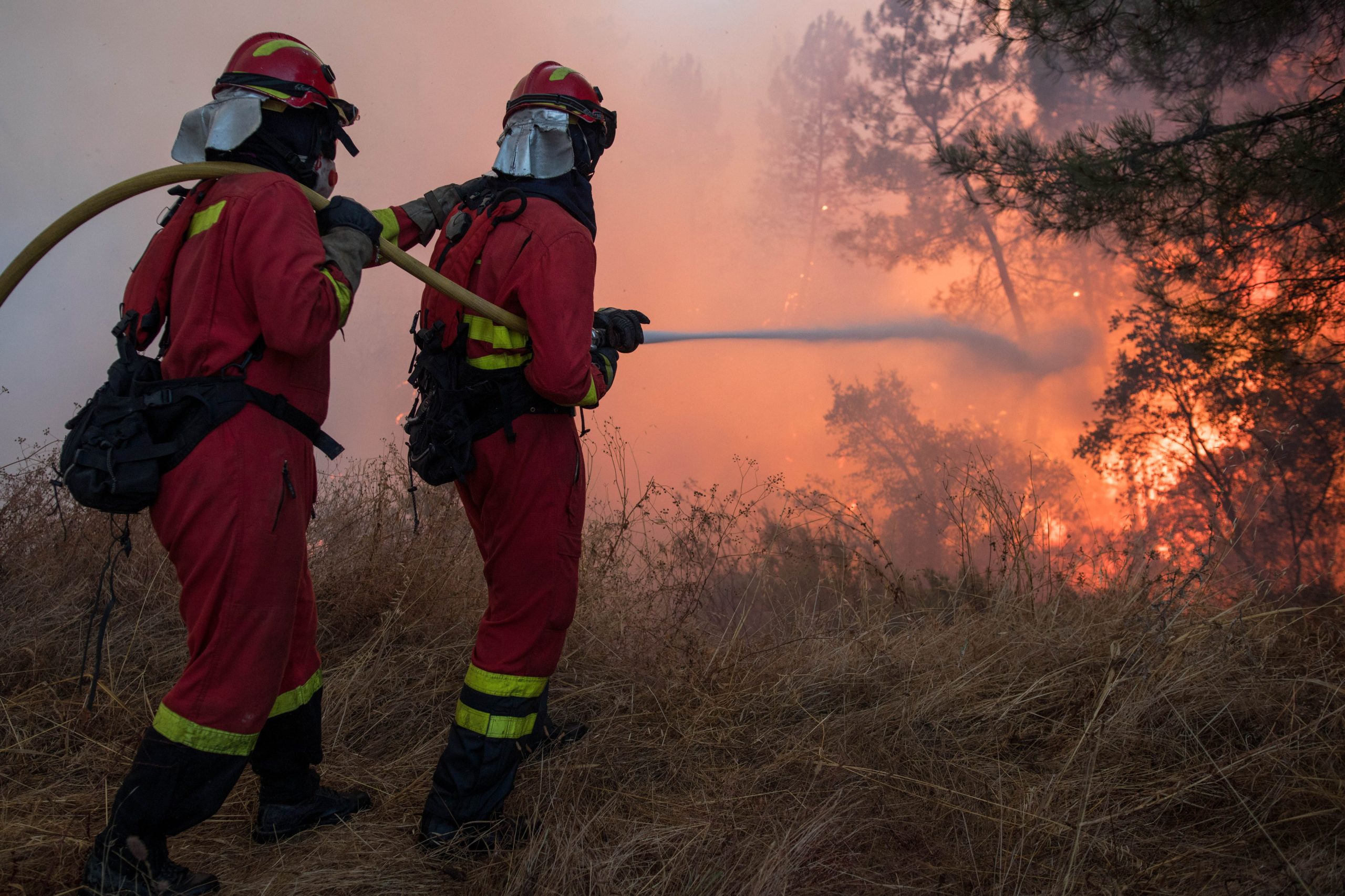 Duzentos bombeiros combatem chamas em Ourém, Santarém
