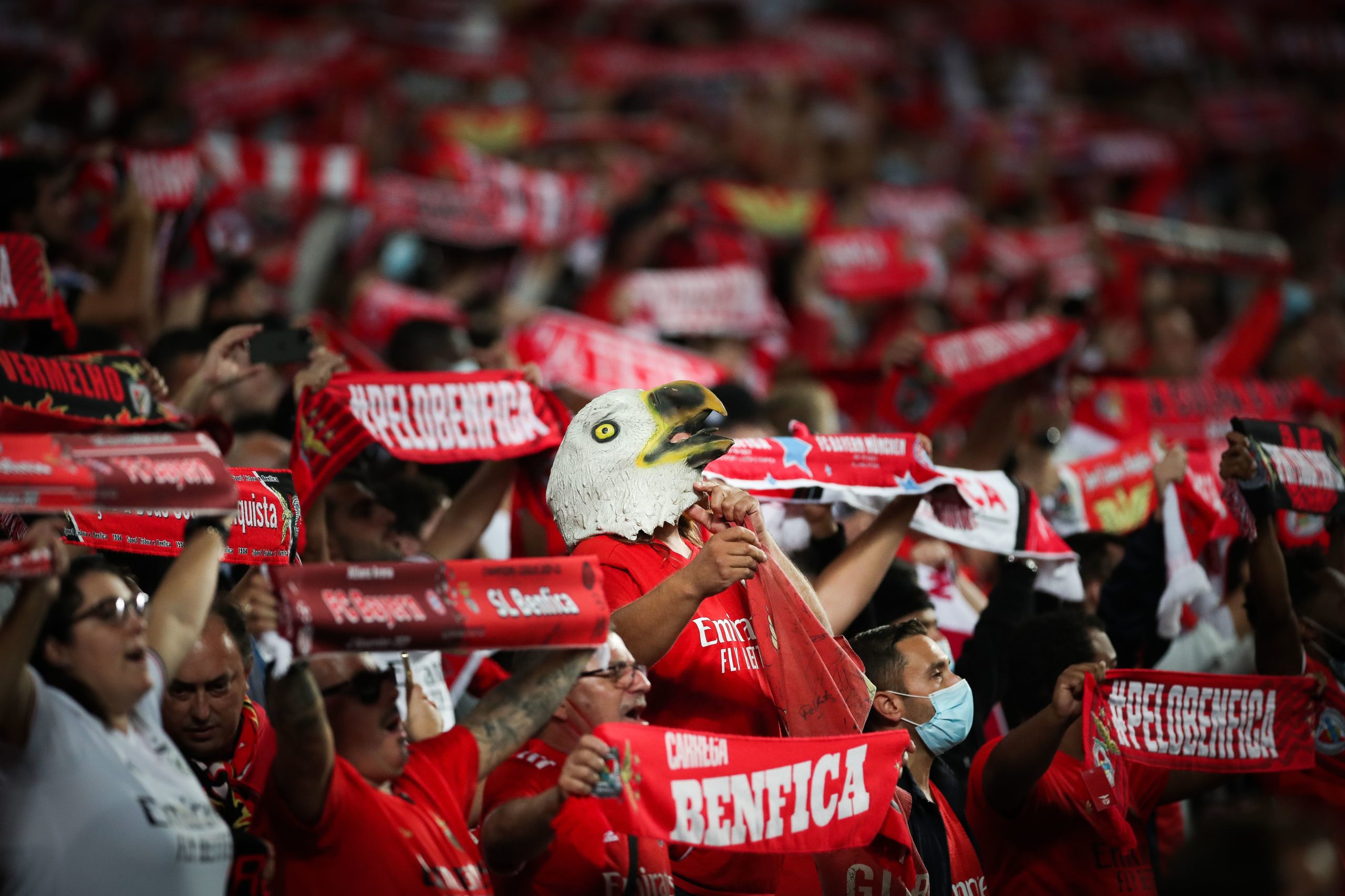 Benfica recebe Vitória de Guimarães e tenta terceira vitória consecutiva