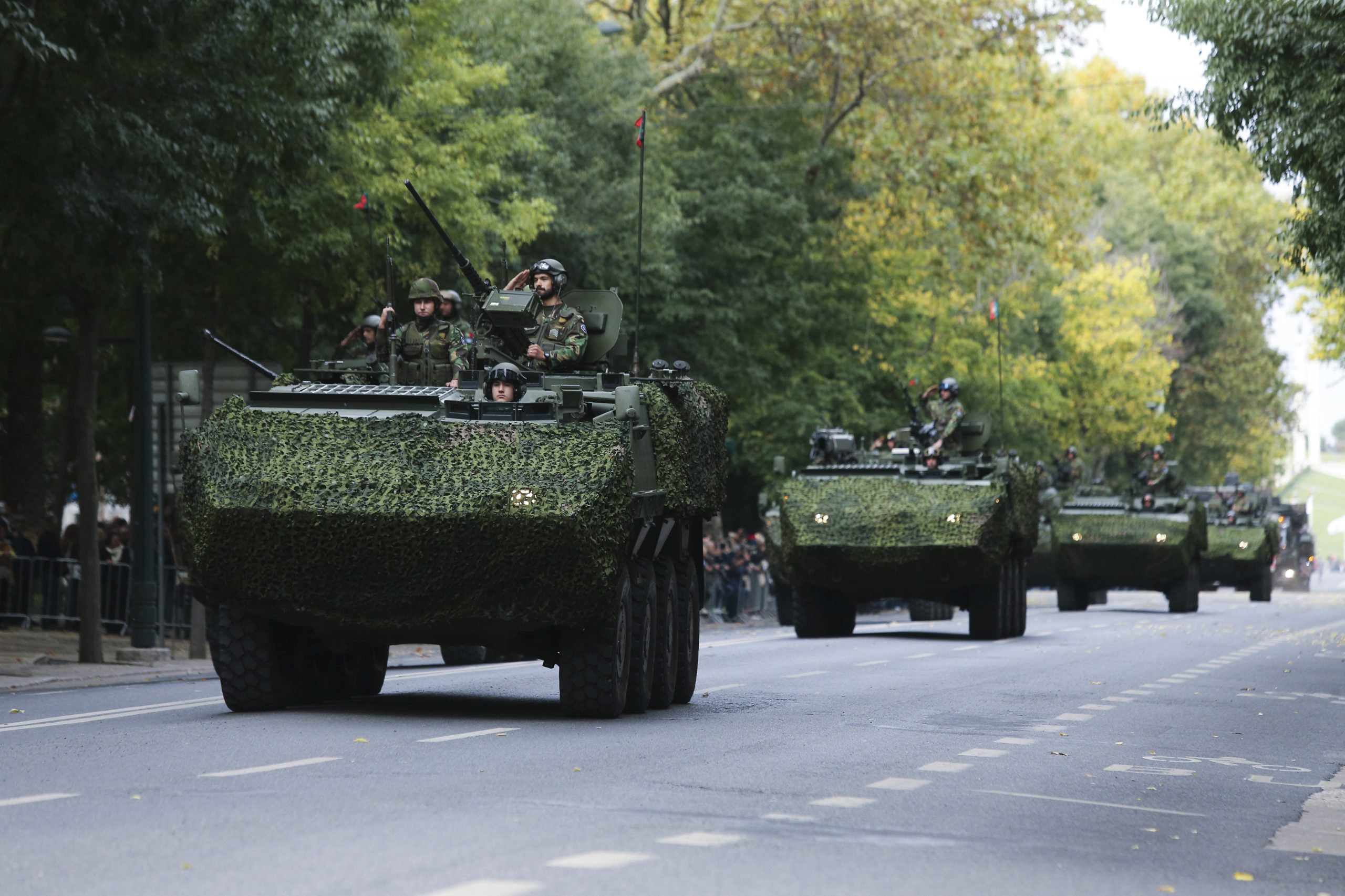 Parada militar em Lisboa assinalou hoje cem anos do fim da I Guerra Mundial