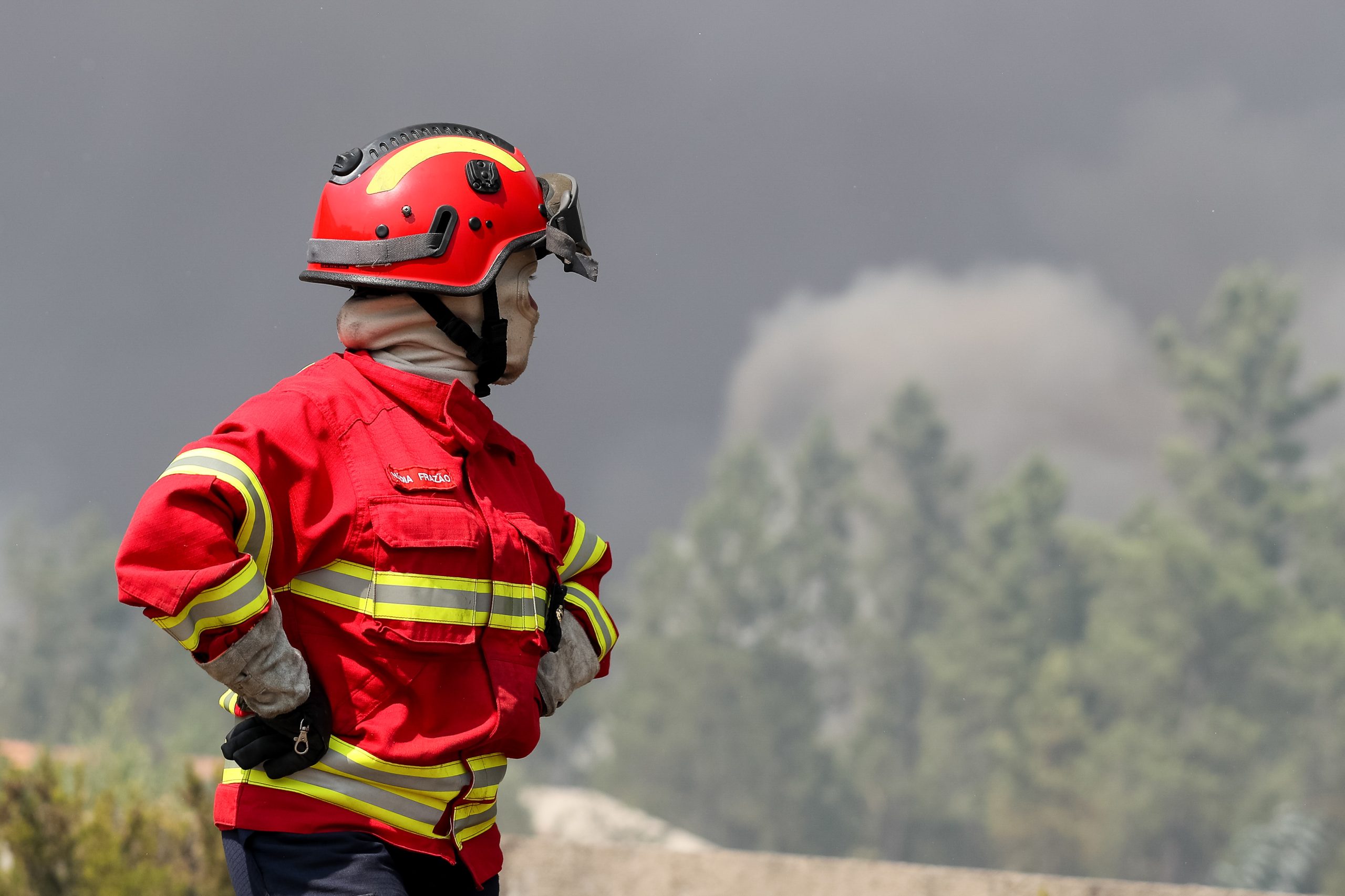 Incêndios: Distritos de Castelo Branco e Santarém em risco máximo. Temperaturas vão chegar aos 40 graus