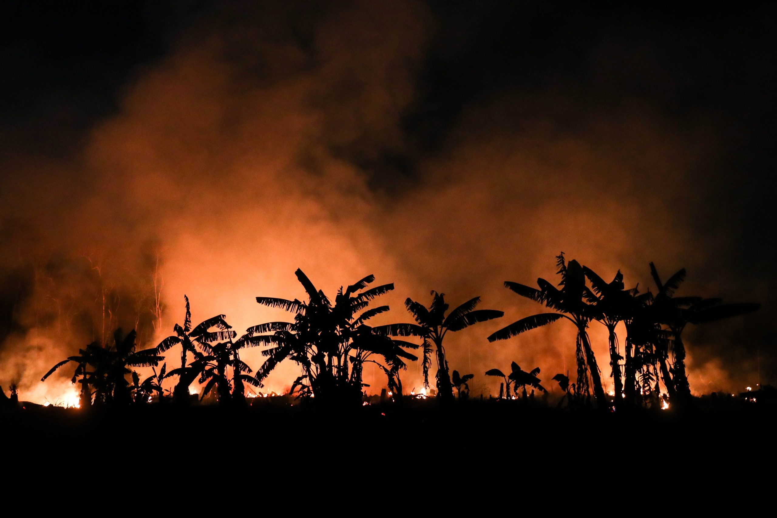 Amazónia registou o outubro com menos incêndios desde 1998