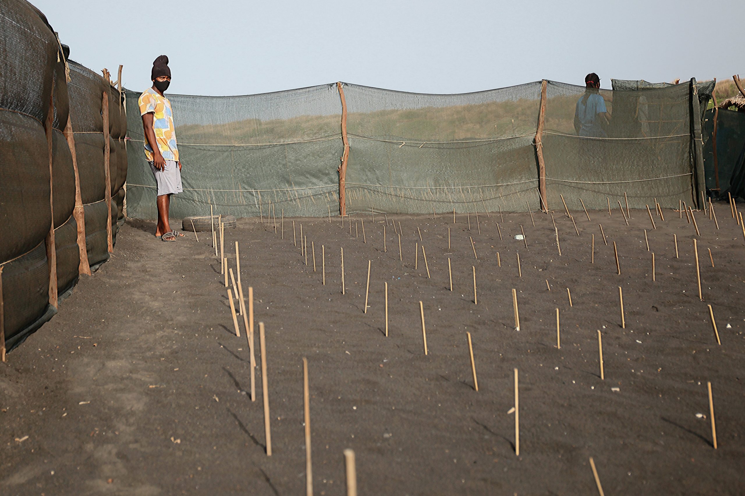 Carreta-Carreta, nove anos de amor às tartarugas em Cabo Verde mas sem grandes apoios