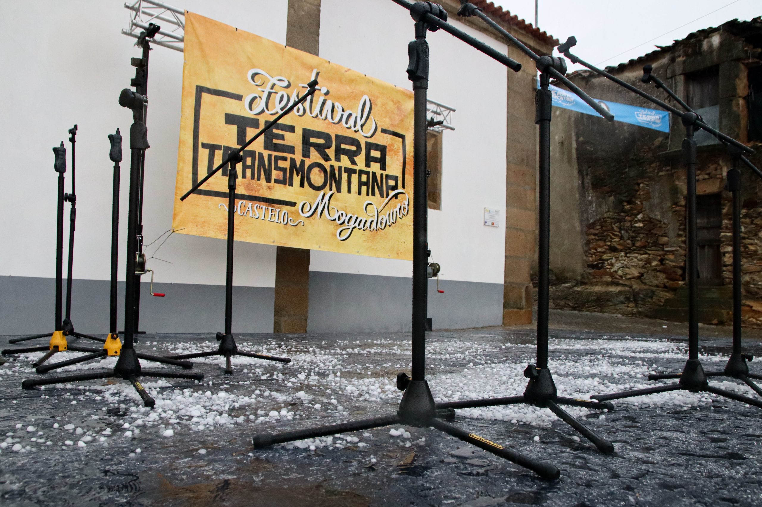 Diretora Regional de Agricultura aconselha tratamentos “imediatos” na vinha em Mogadouro