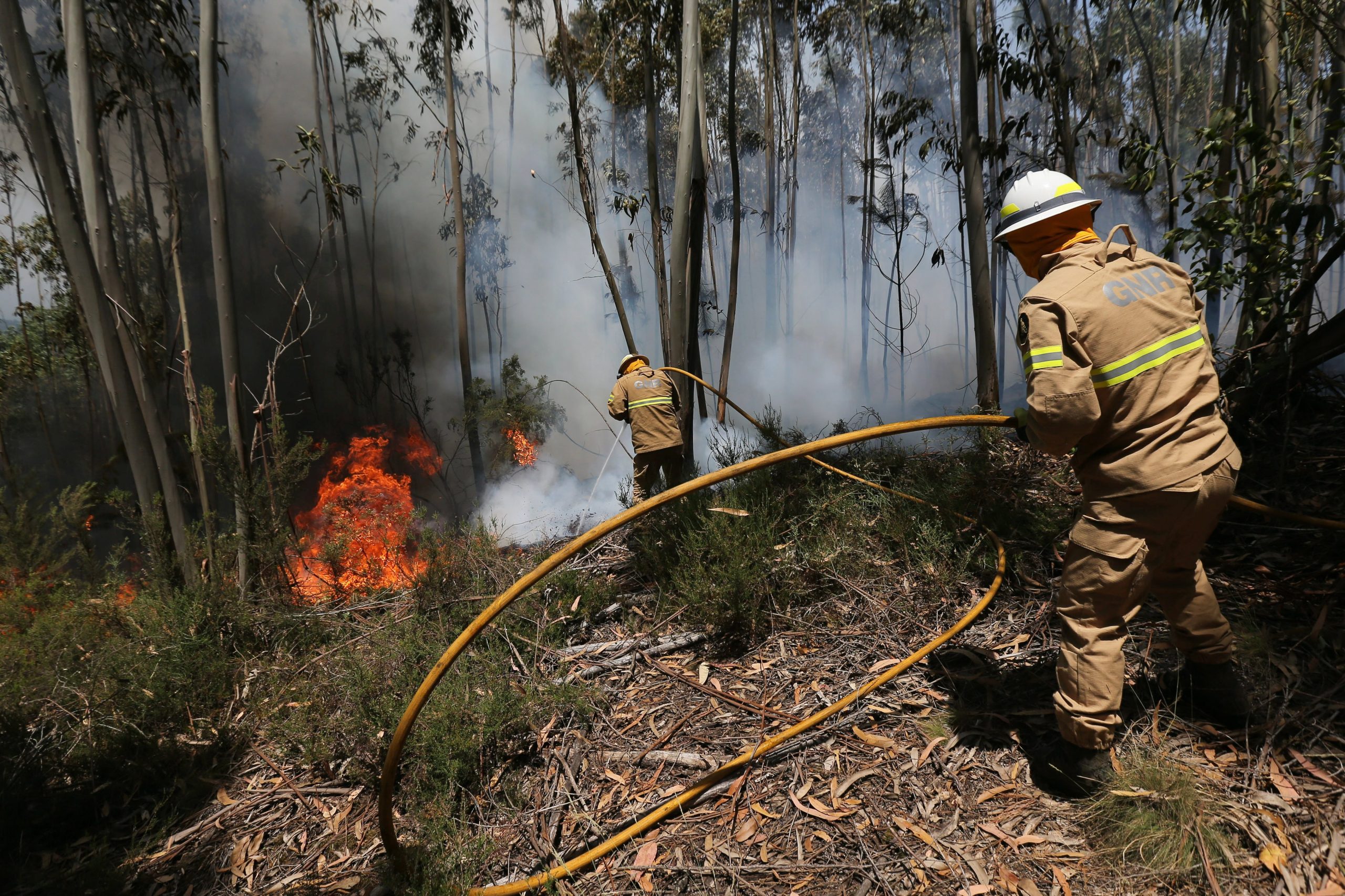Incêndios. GIPS operacionais depois de garantidas condições de segurança, afirma comandante-geral da GNR