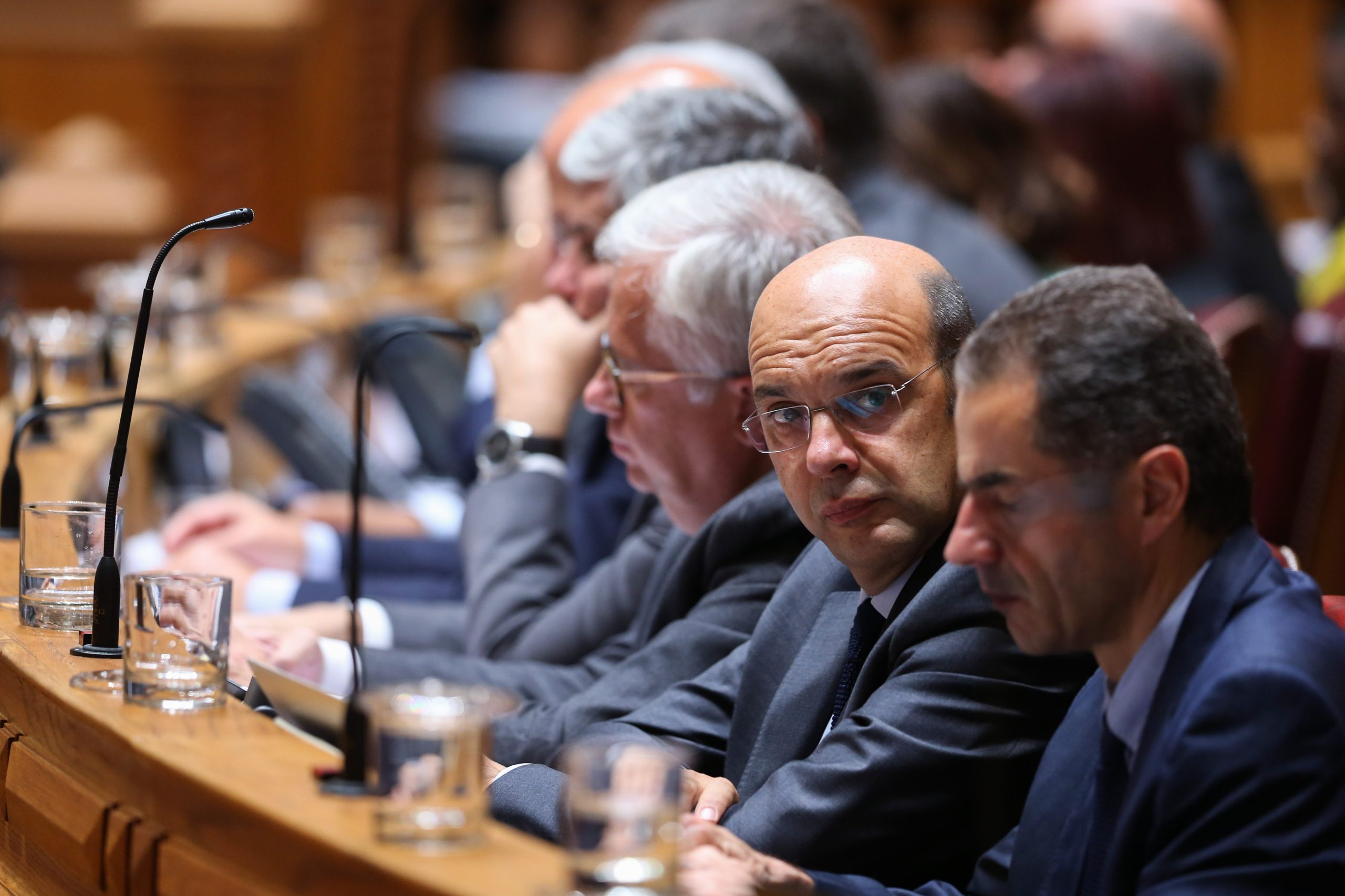 Ministro Adjunto elege reflorestação como uma prioridade nacional nos próximos anos
