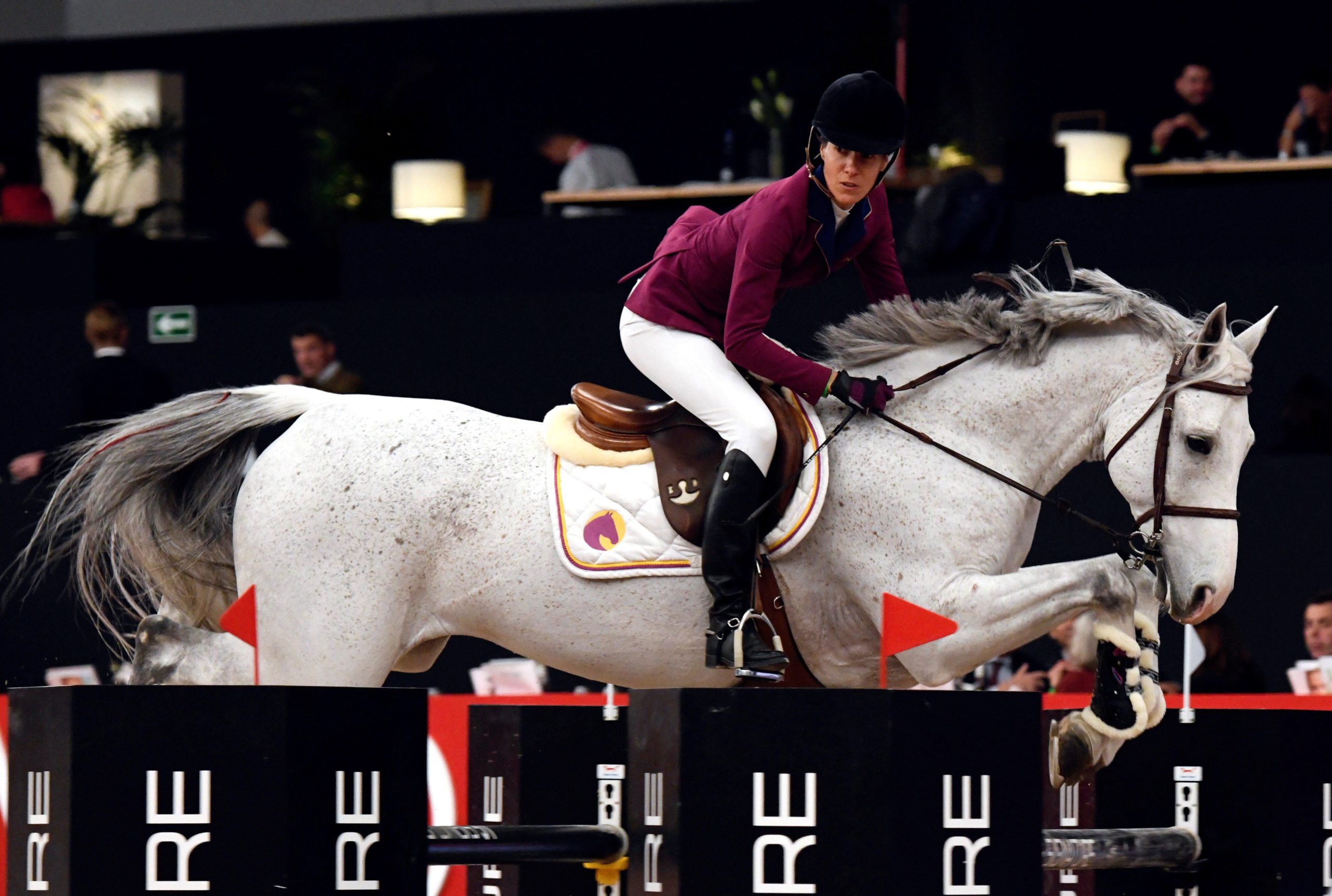Cavaleira Luciana Diniz apurada para a final de saltos de obstáculos