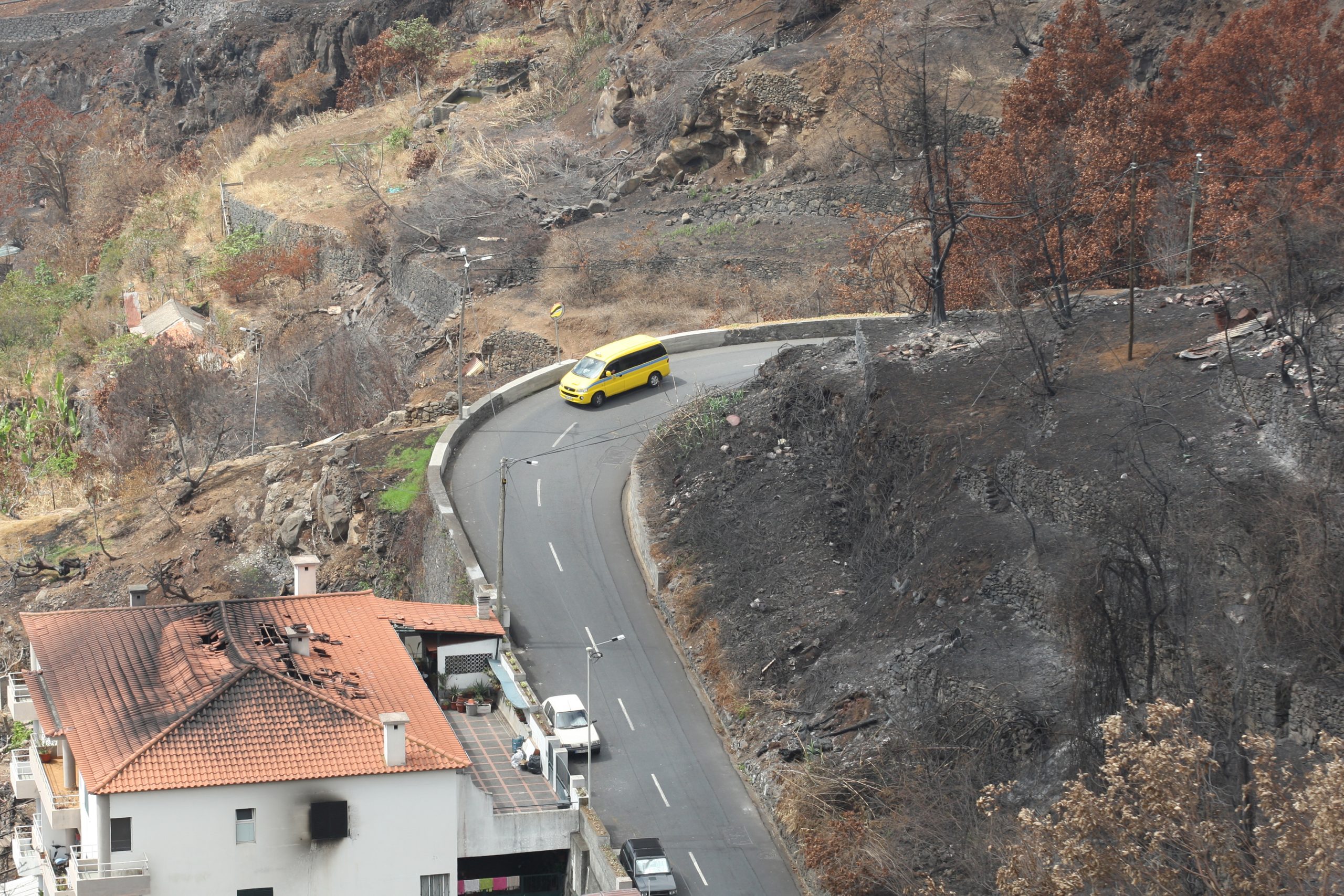 Proteção Civil Regional diz que combate a incêndios na Madeira foi um “sucesso”