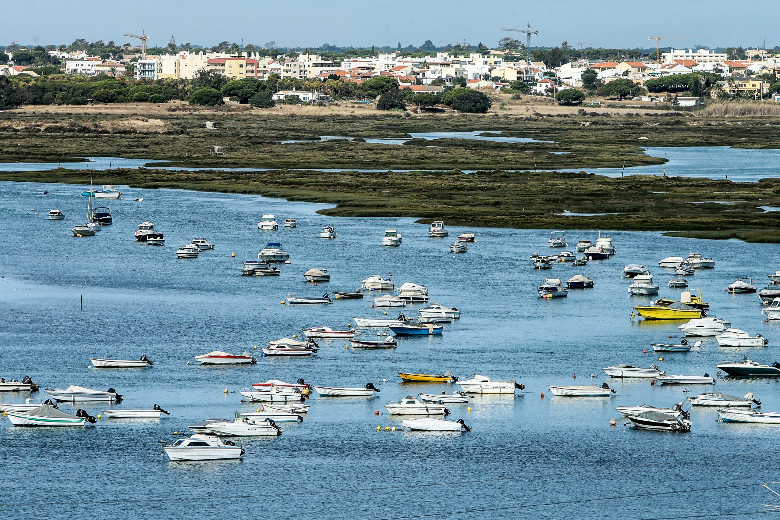 GNR e ICNF identificam 13 pessoas e apreendem artes de pesca ilegais na Ria Formosa