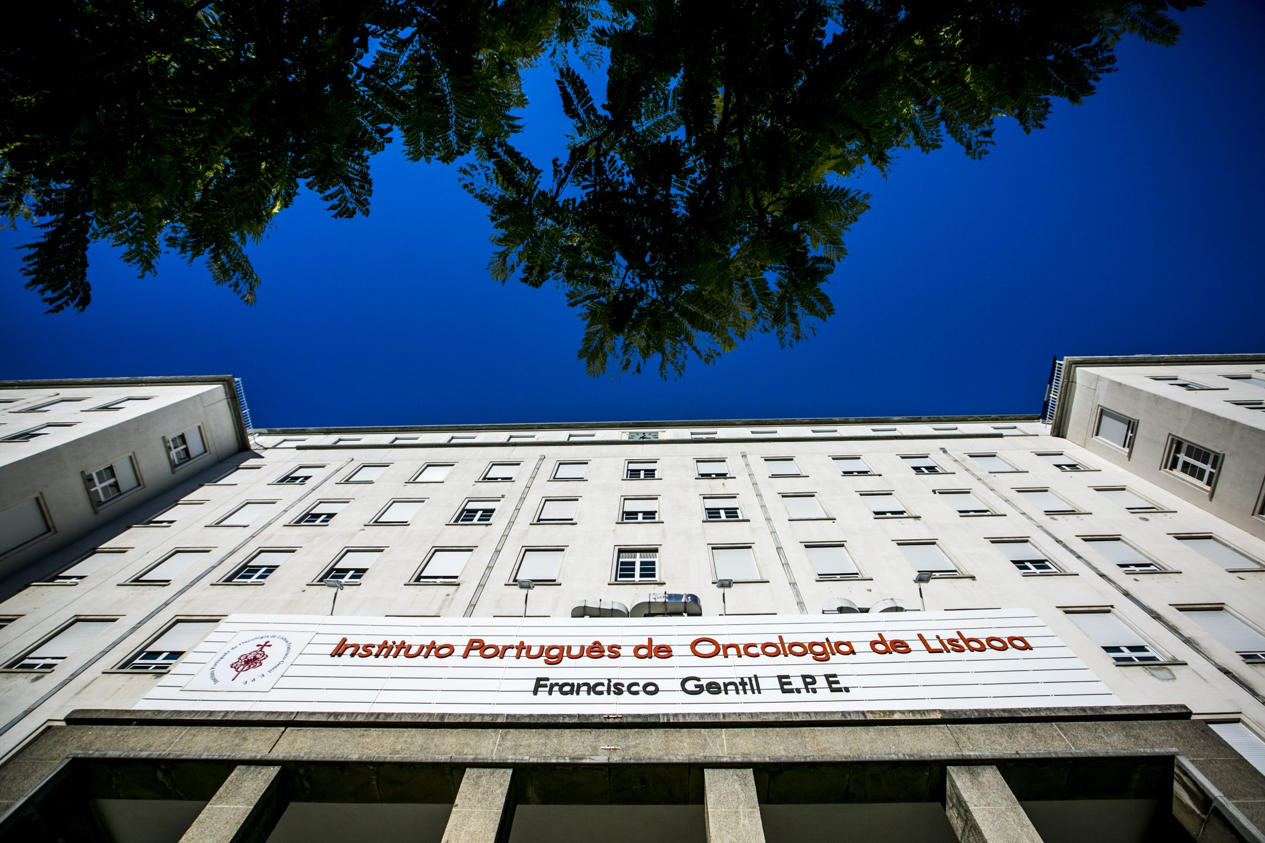IPO de Lisboa abre processo de averiguações para apurar atraso de exame de doente oncológico