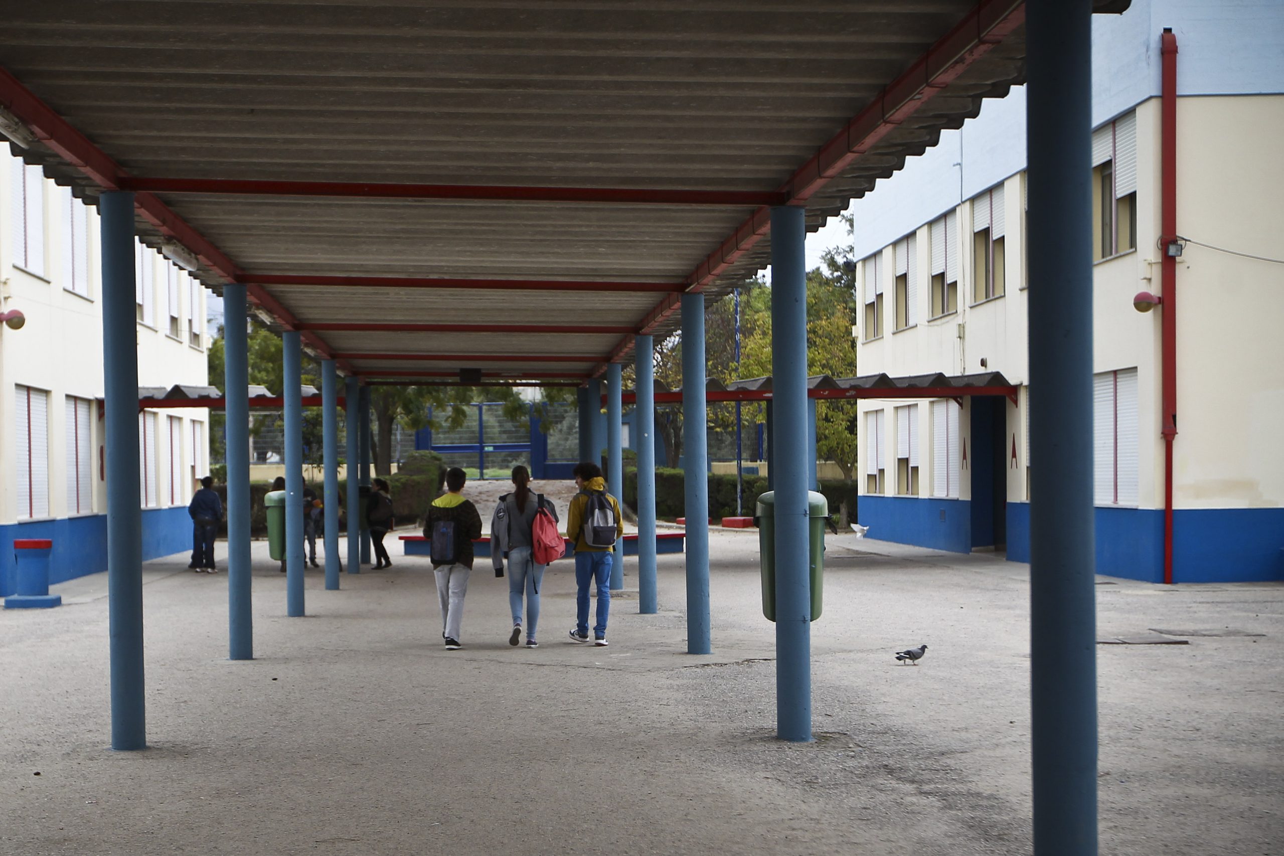 Federação Nacional de Educação diz que é preciso “robustecer a ação” em defesa dos funcionários das escolas