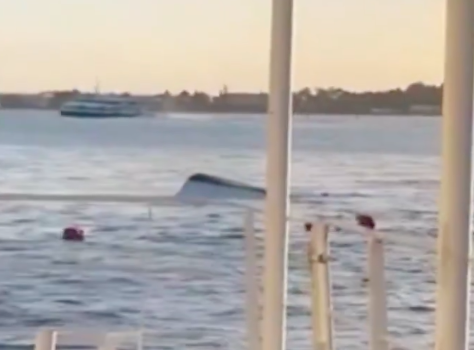 Buscas por pescadores desaparecidos no Tejo interrompidas e continuam na quarta-feira