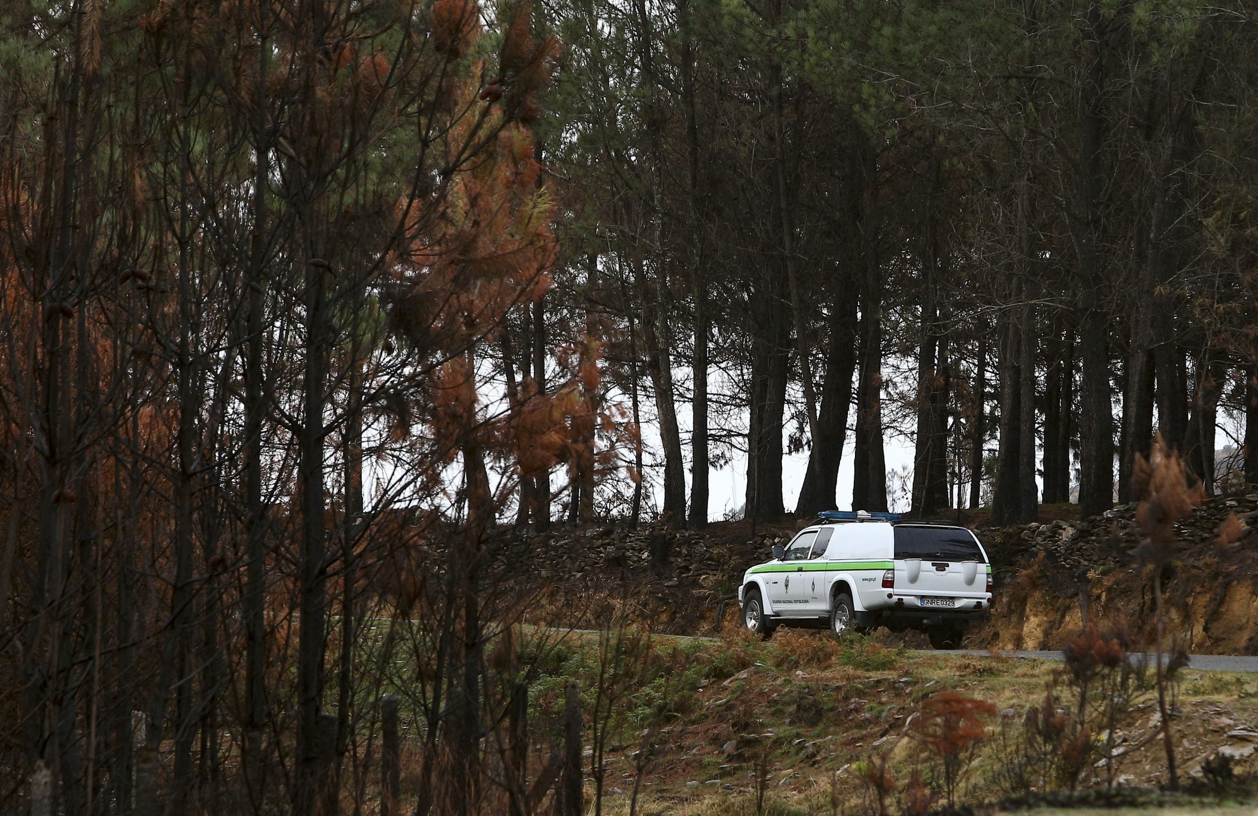 Polícia da Galiza reforça patrulhas por causa do homicida de Aguiar da Beira