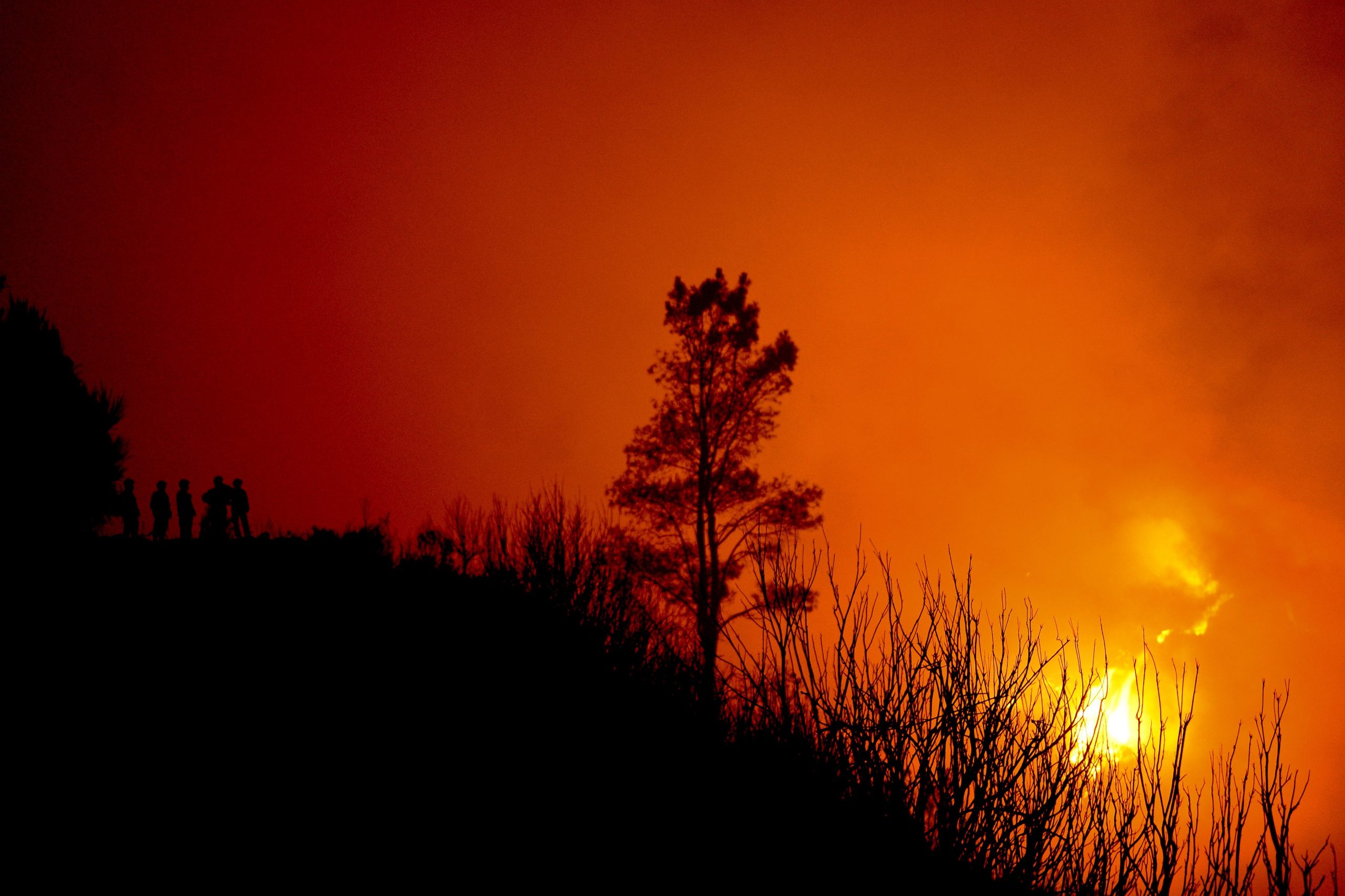 Proteção Civil da Madeira pede que sejam evitados comportamentos que constituam risco de incêndio