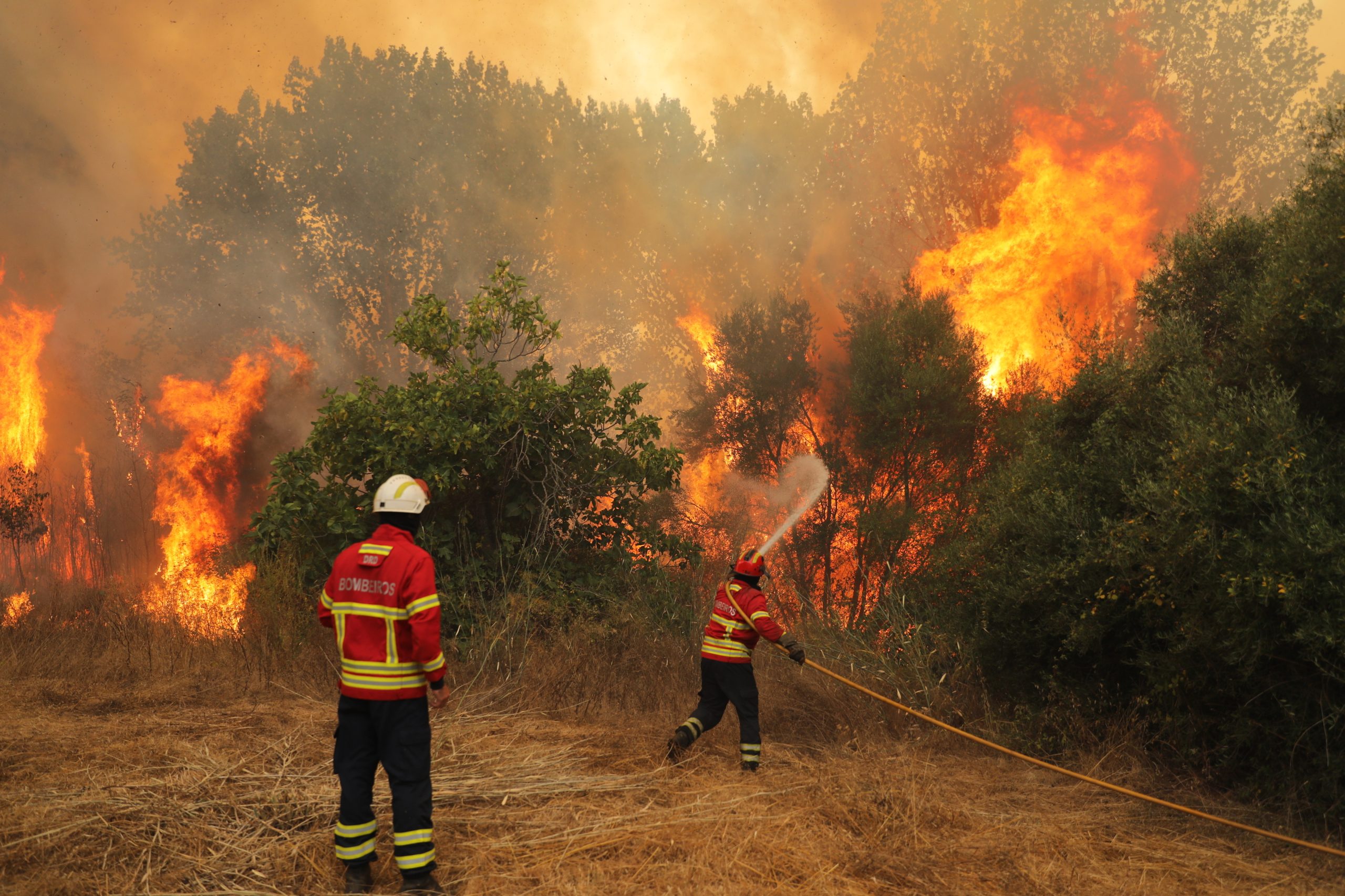 Londres: Vítimas mortais dos incêndios de 2017 homenageadas com vigília