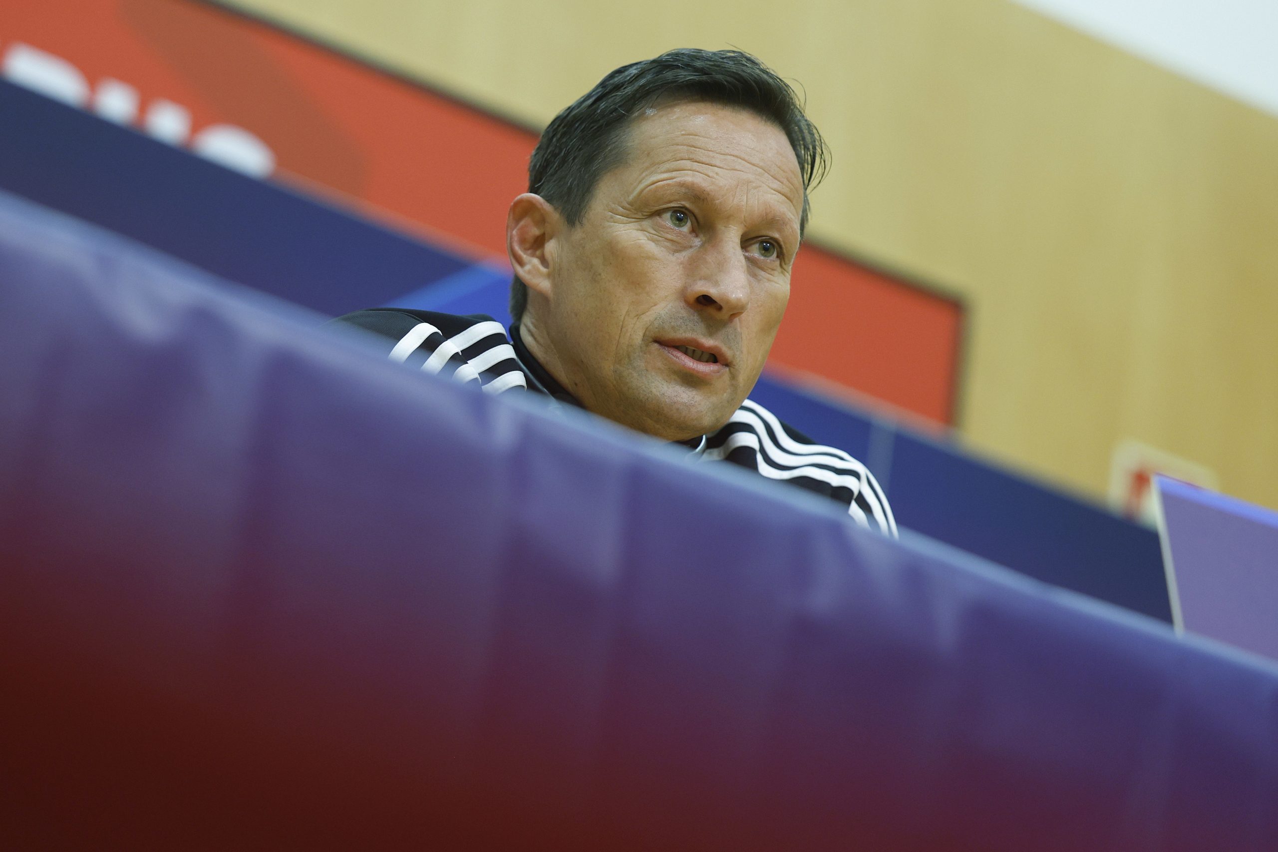 Roger Schmidt não vê caminho do Benfica até à final da Liga dos Campeões de futebol  facilitado
