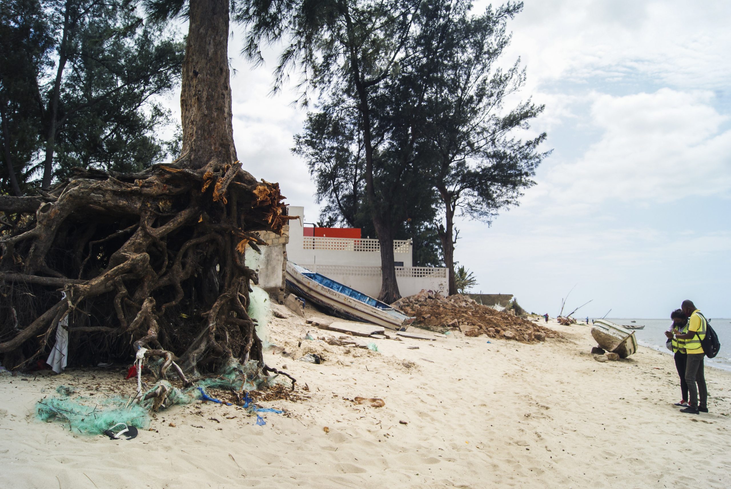 Destruição de mangal deixa Moçambique à mercê do mar