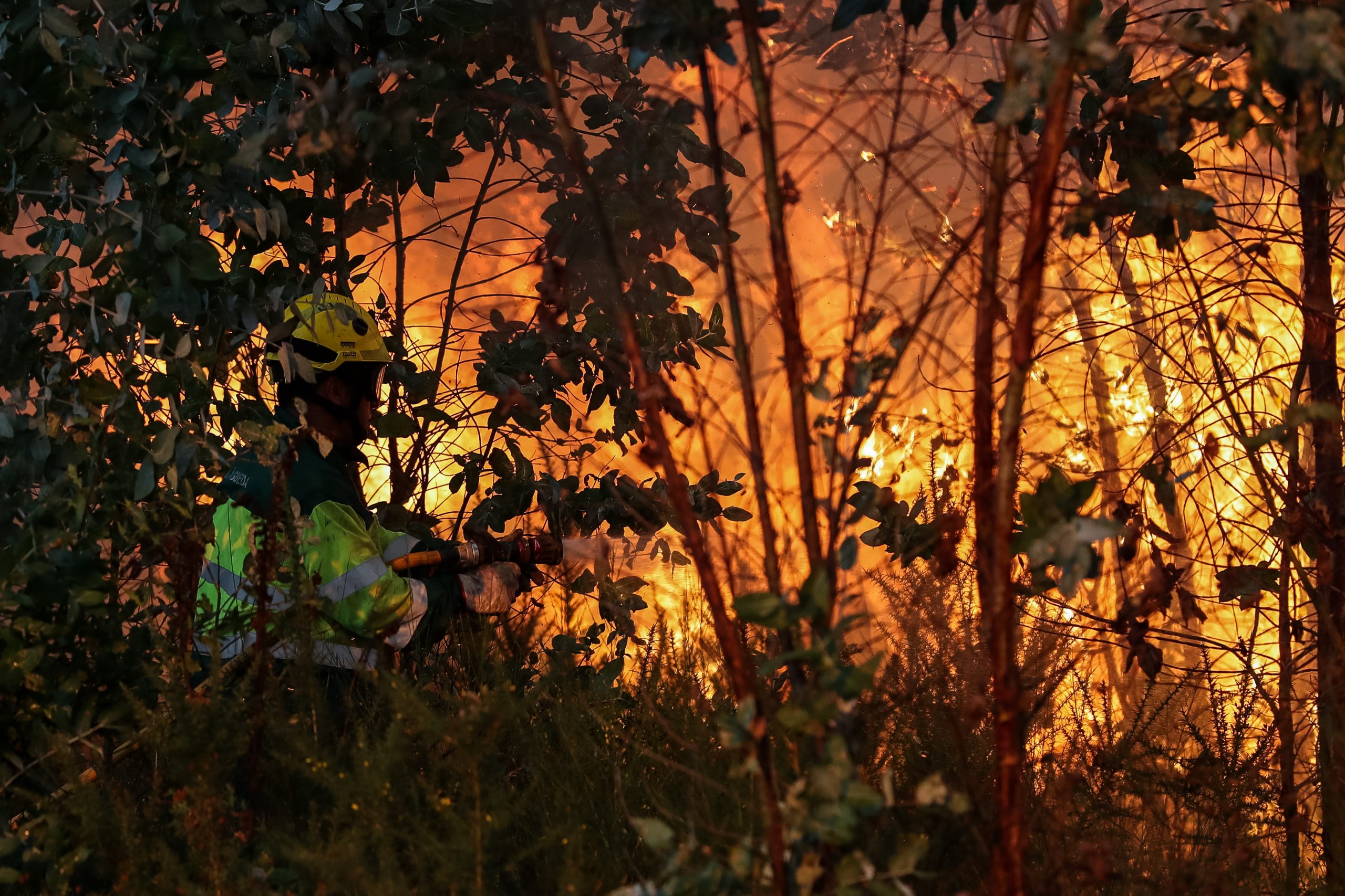 Abrantes alarga dispositivos de combate a fogos rurais a 11 freguesias