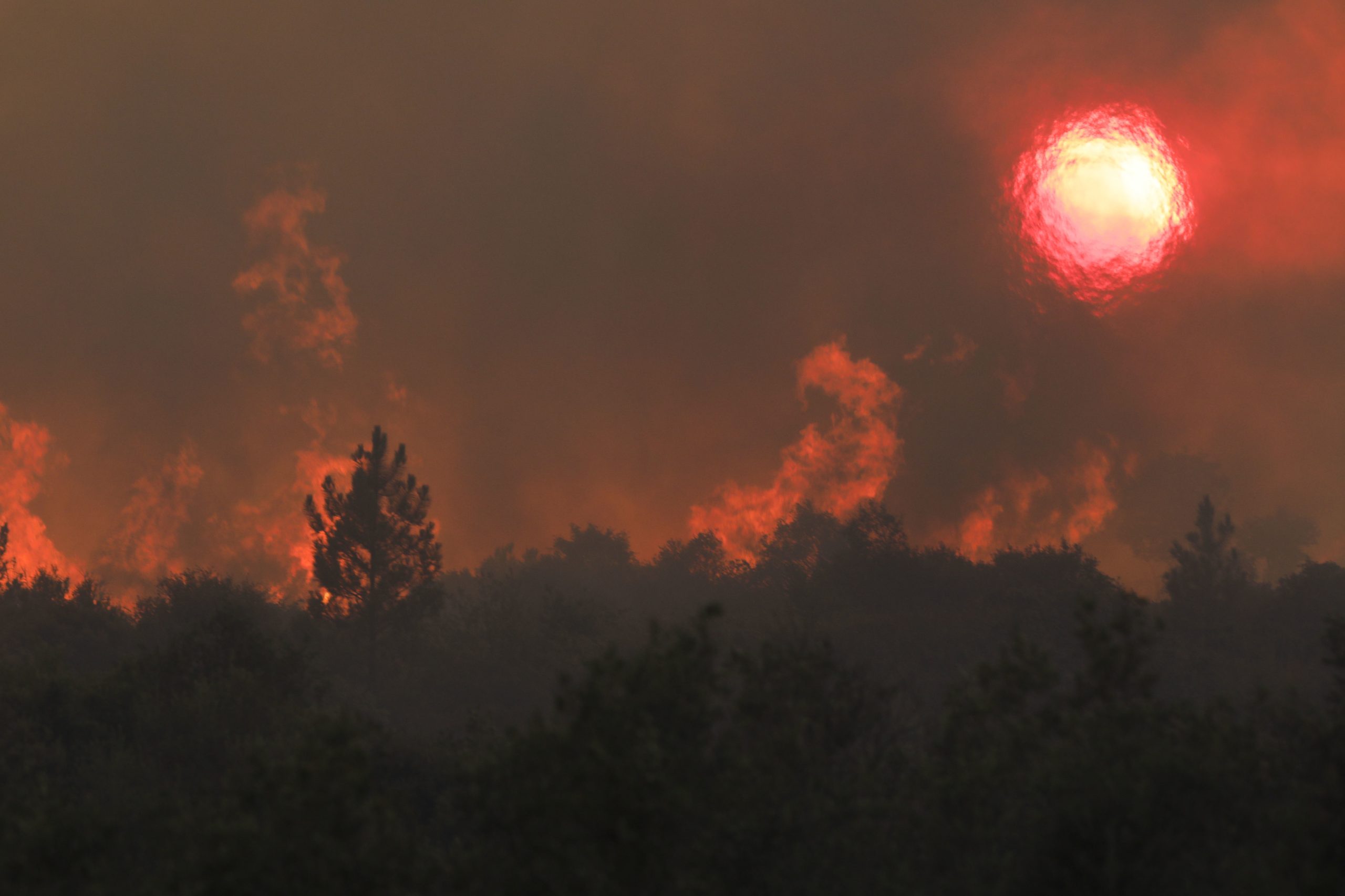 Pessoas impedidas de sair de casa em dias de alto risco de incêndio. Autarcas contestam medida