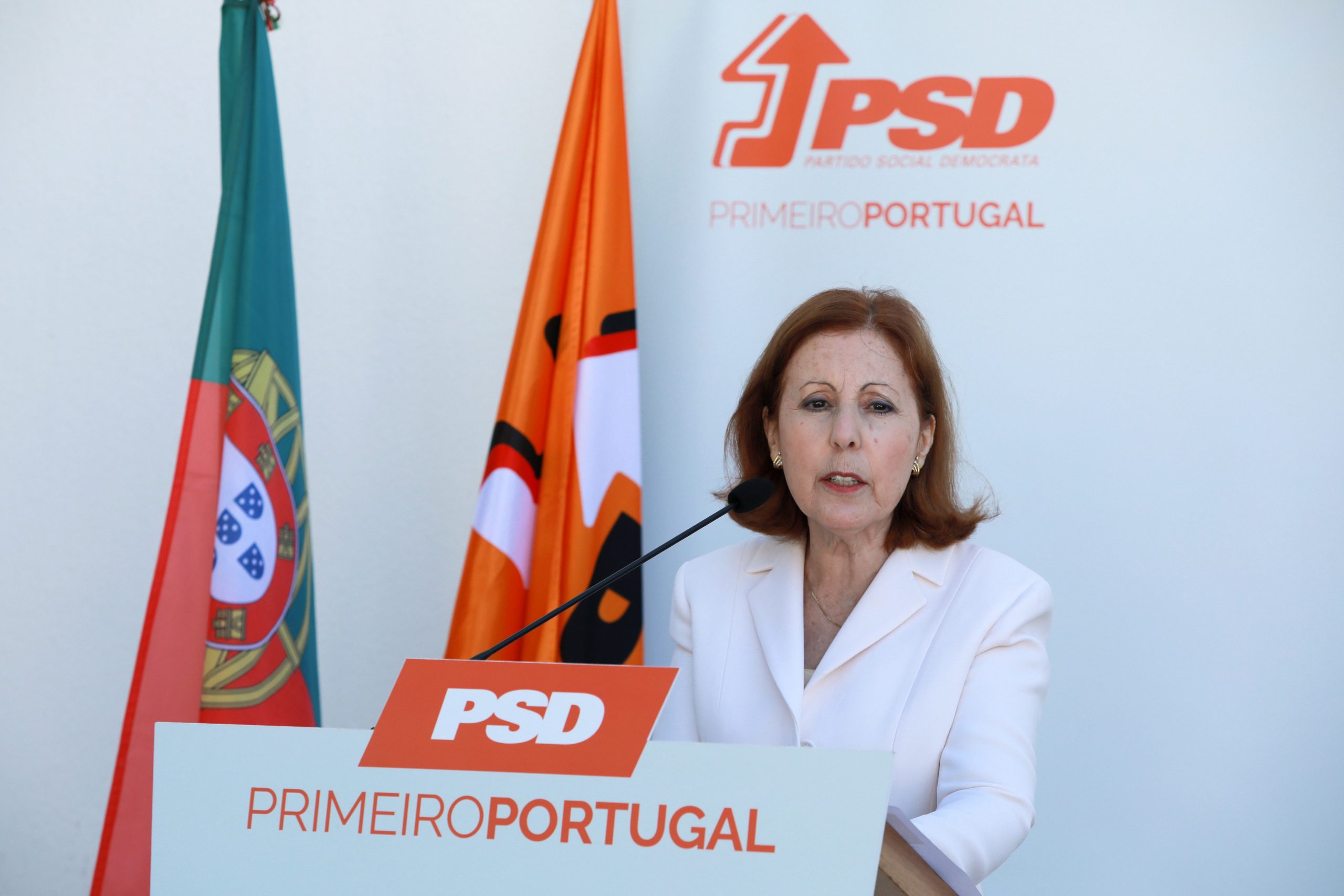 Dez perguntas a Maria da Graça Carvalho (PSD)