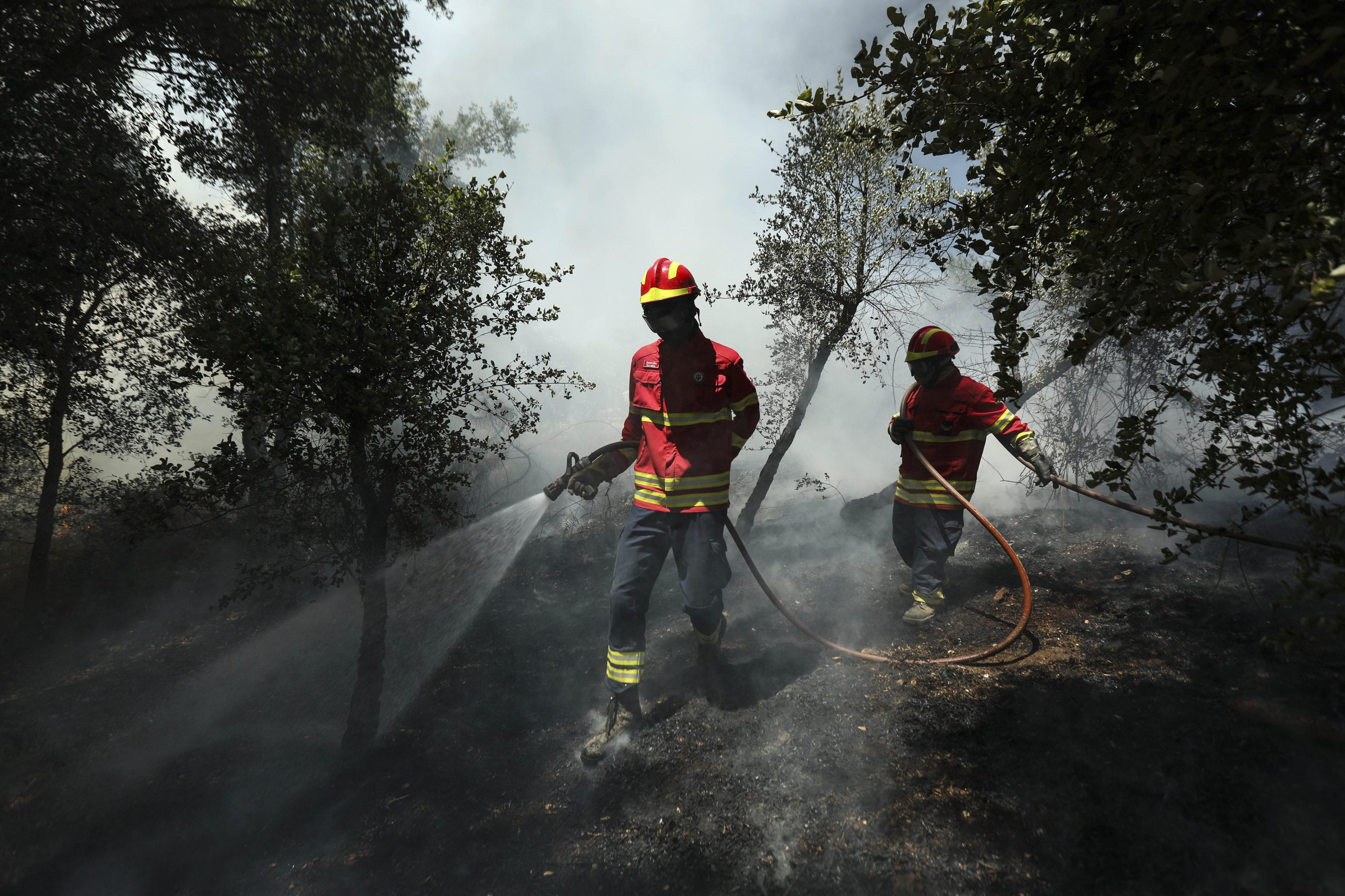 Incêndios: Bombeiros alemães em Mondim de Basto para ajudar e aprender