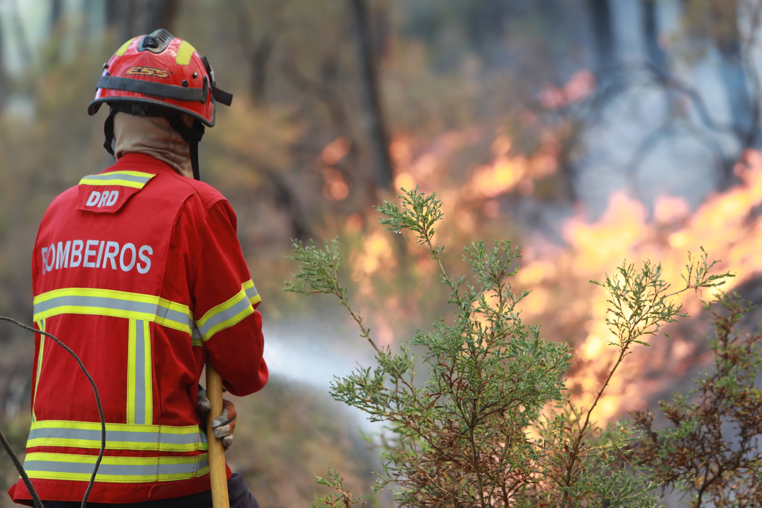 Incêndios: Mais de 120 operacionais combatem fogo rural em Vila Real