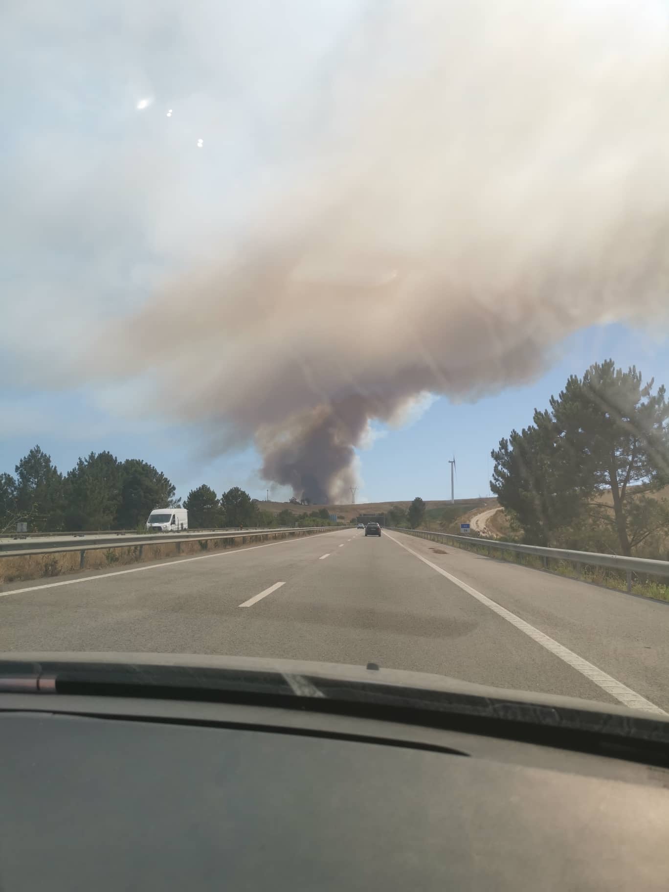 Fogo em Mafra queimou 292 hectares sobretudo de mato